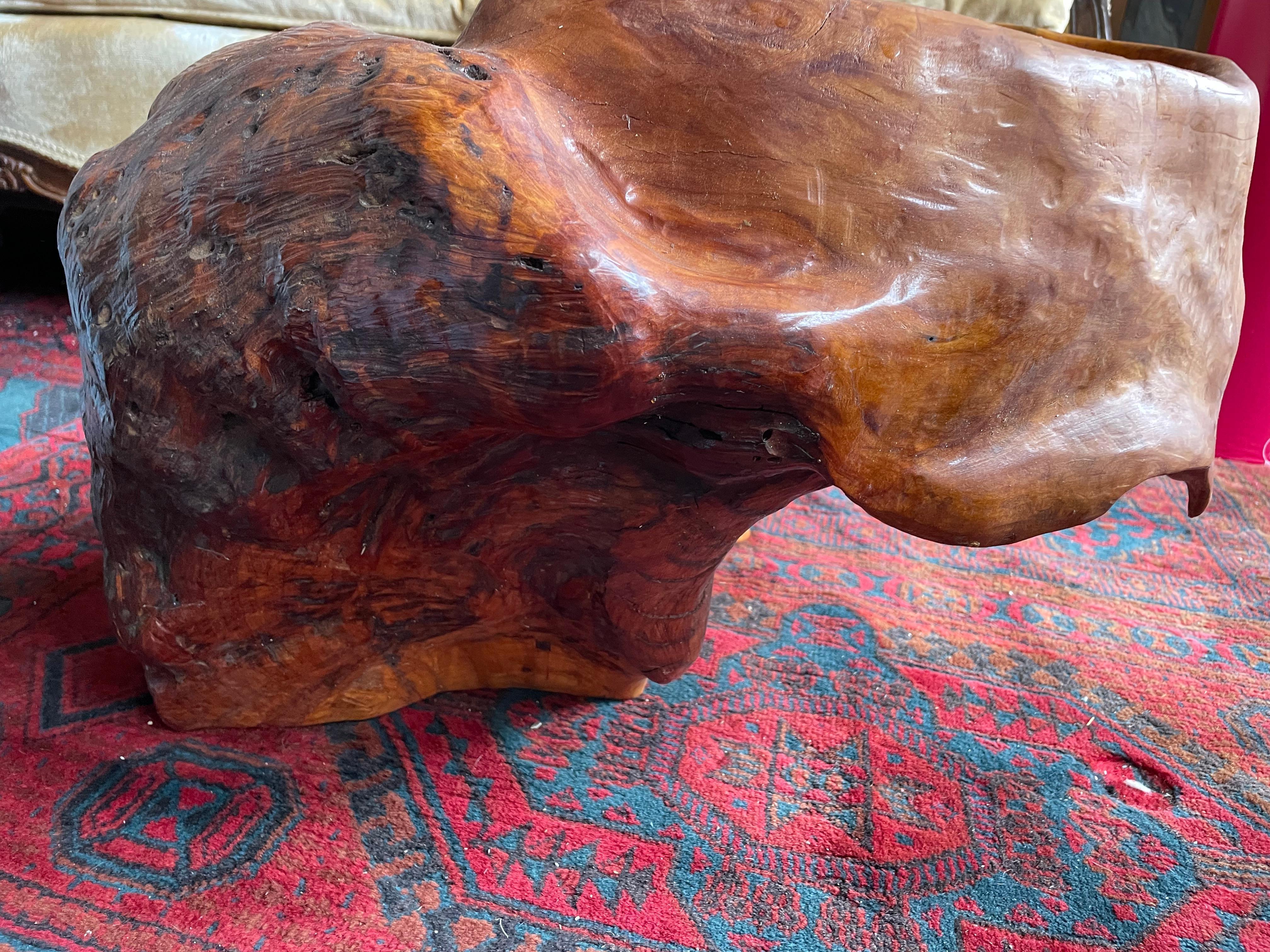 Scultura astratta a forma libera in legno di boro con portapiante moderno in legno di radice Adirondack in vendita 6