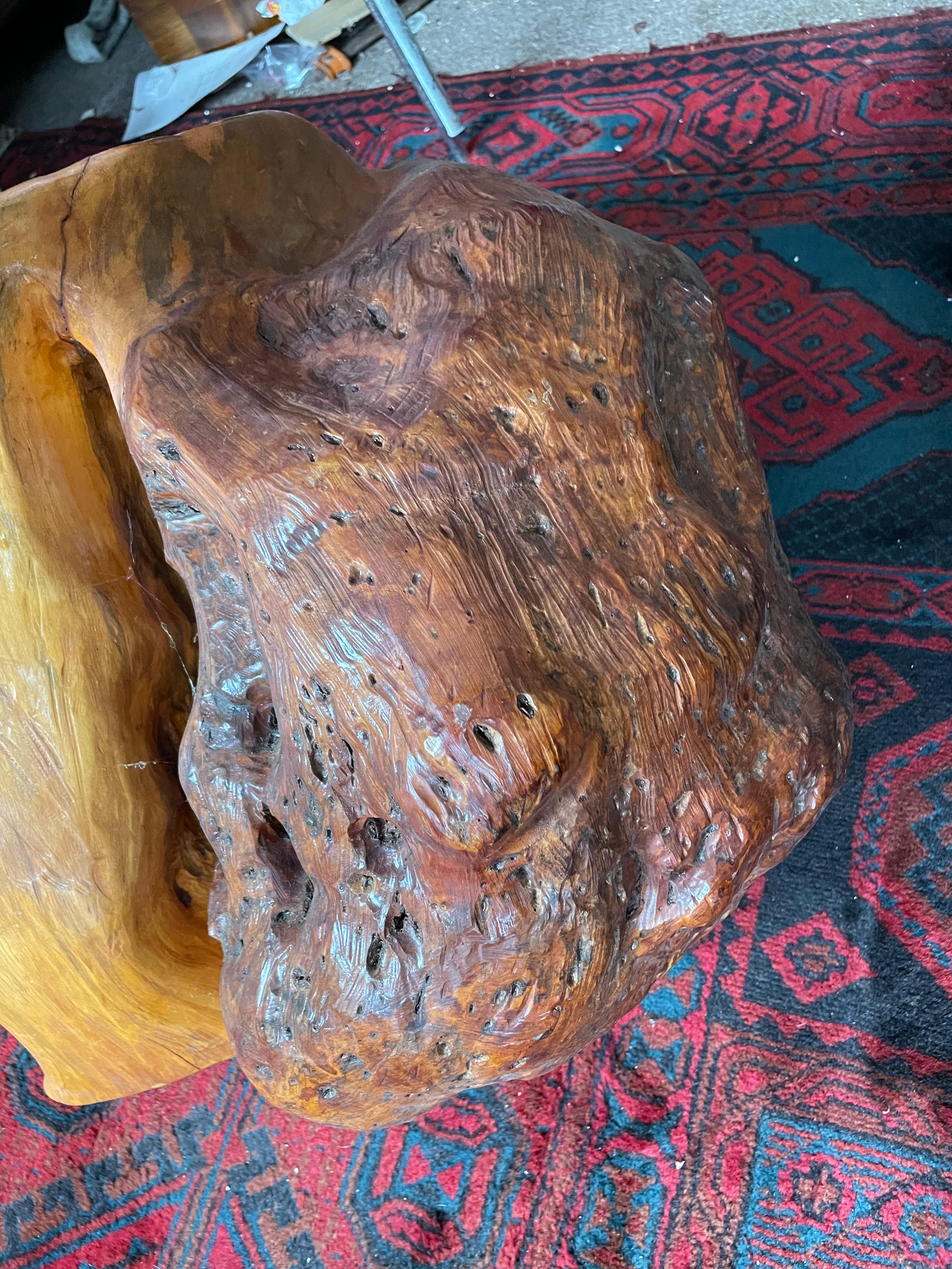 XXI secolo e contemporaneo Scultura astratta a forma libera in legno di boro con portapiante moderno in legno di radice Adirondack in vendita
