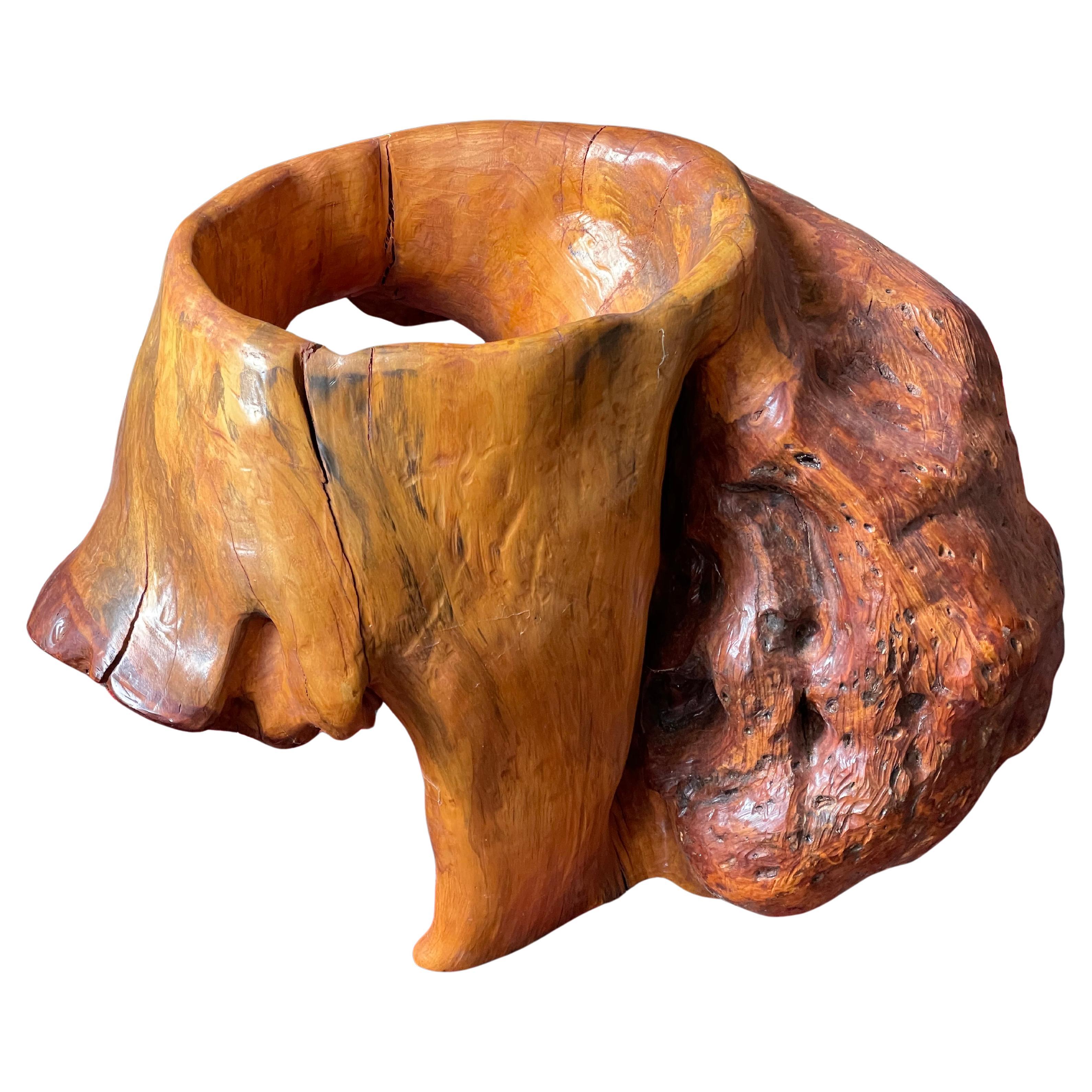 Abstrakte Freie Form Wurzelholz Skulptur Pflanzen Stand Modern Adirondack Root Wood
