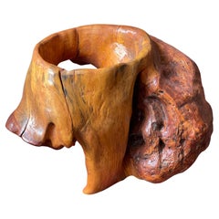 Abstract Free Form Burlwood Sculpture Plant Stand Modern Adirondack Root Wood