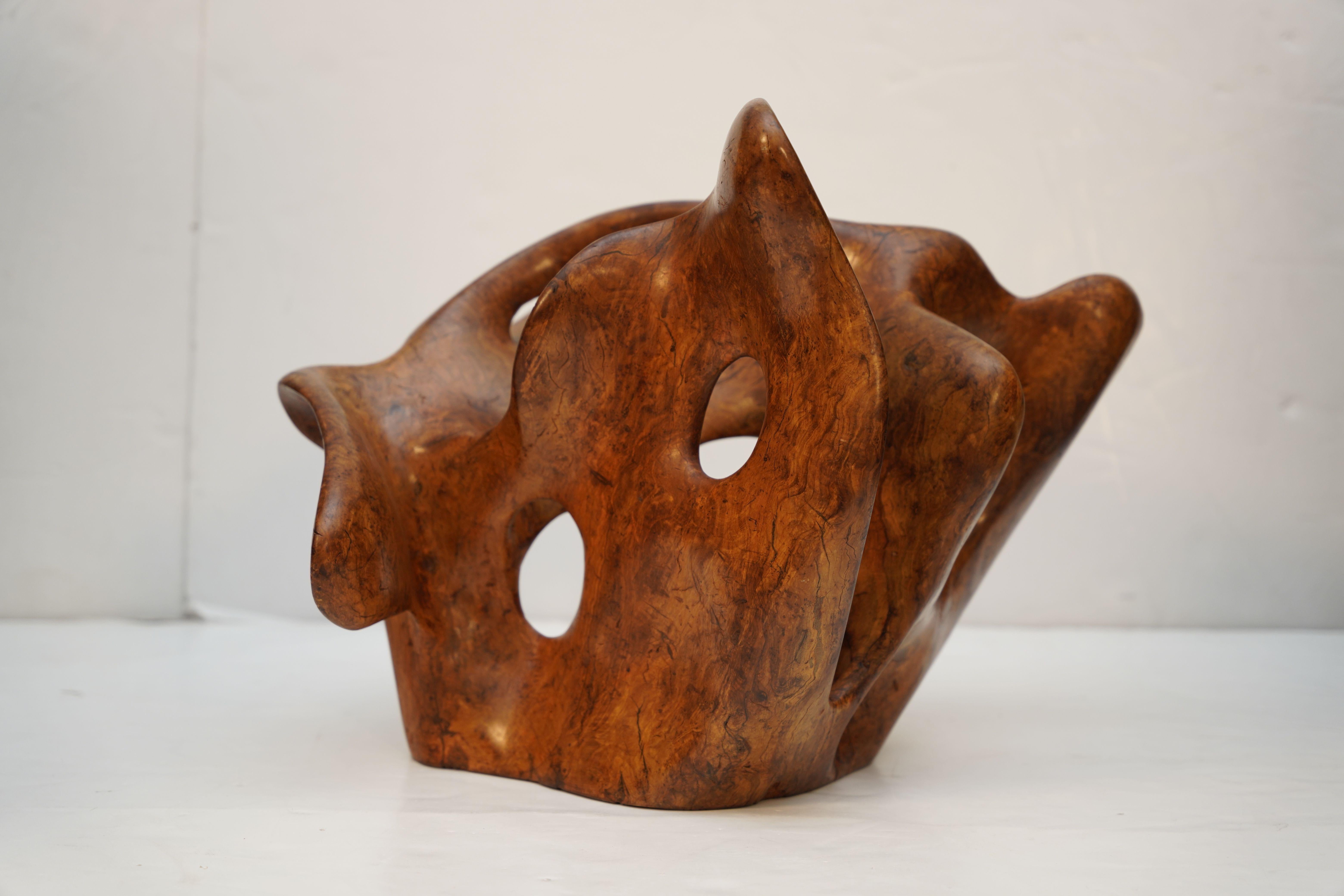 XX secolo Scultura astratta a forma libera in legno d'olivo dalla Francia in vendita