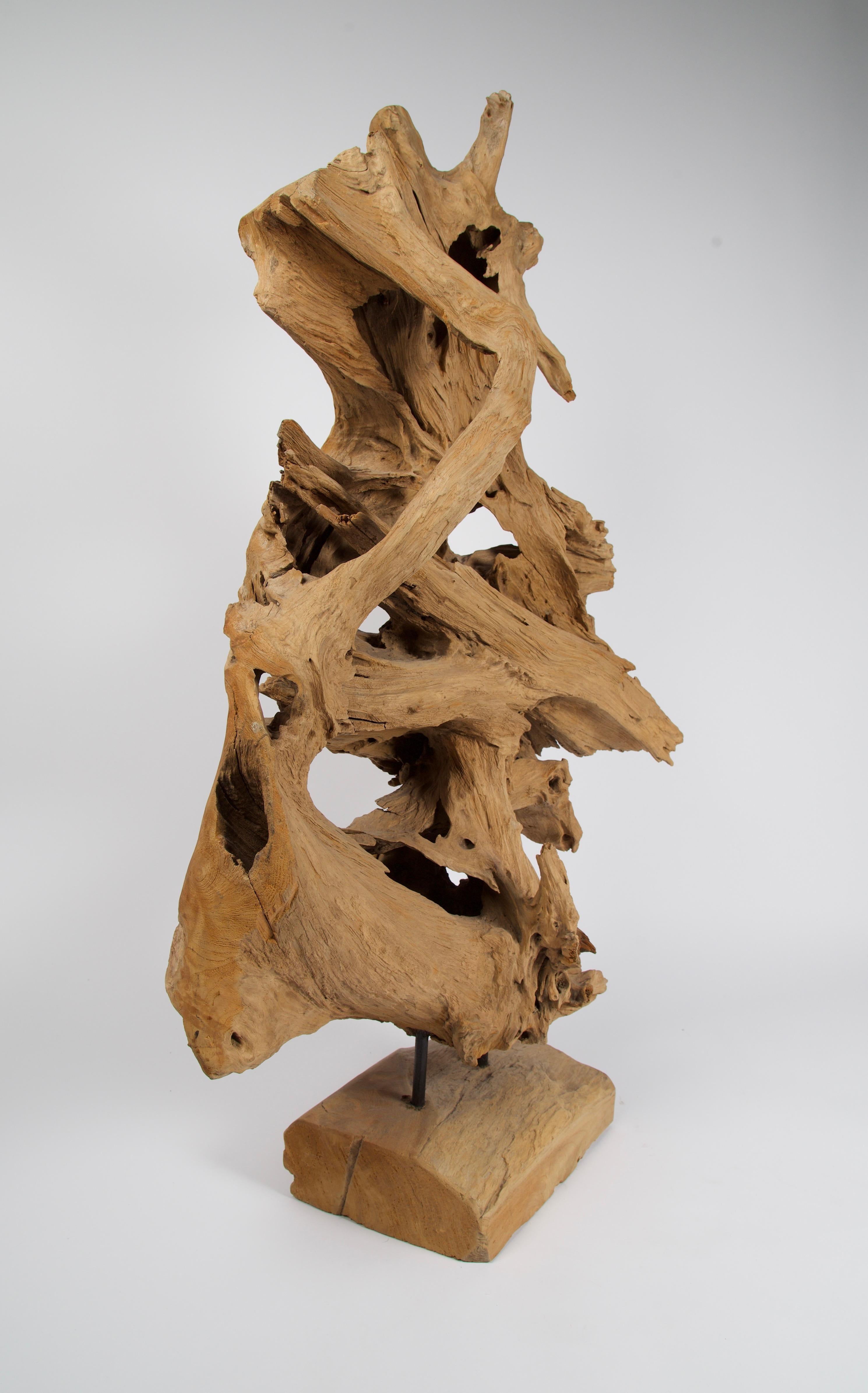 Organique Sculpture abstraite en bois de teck de forme libre en vente