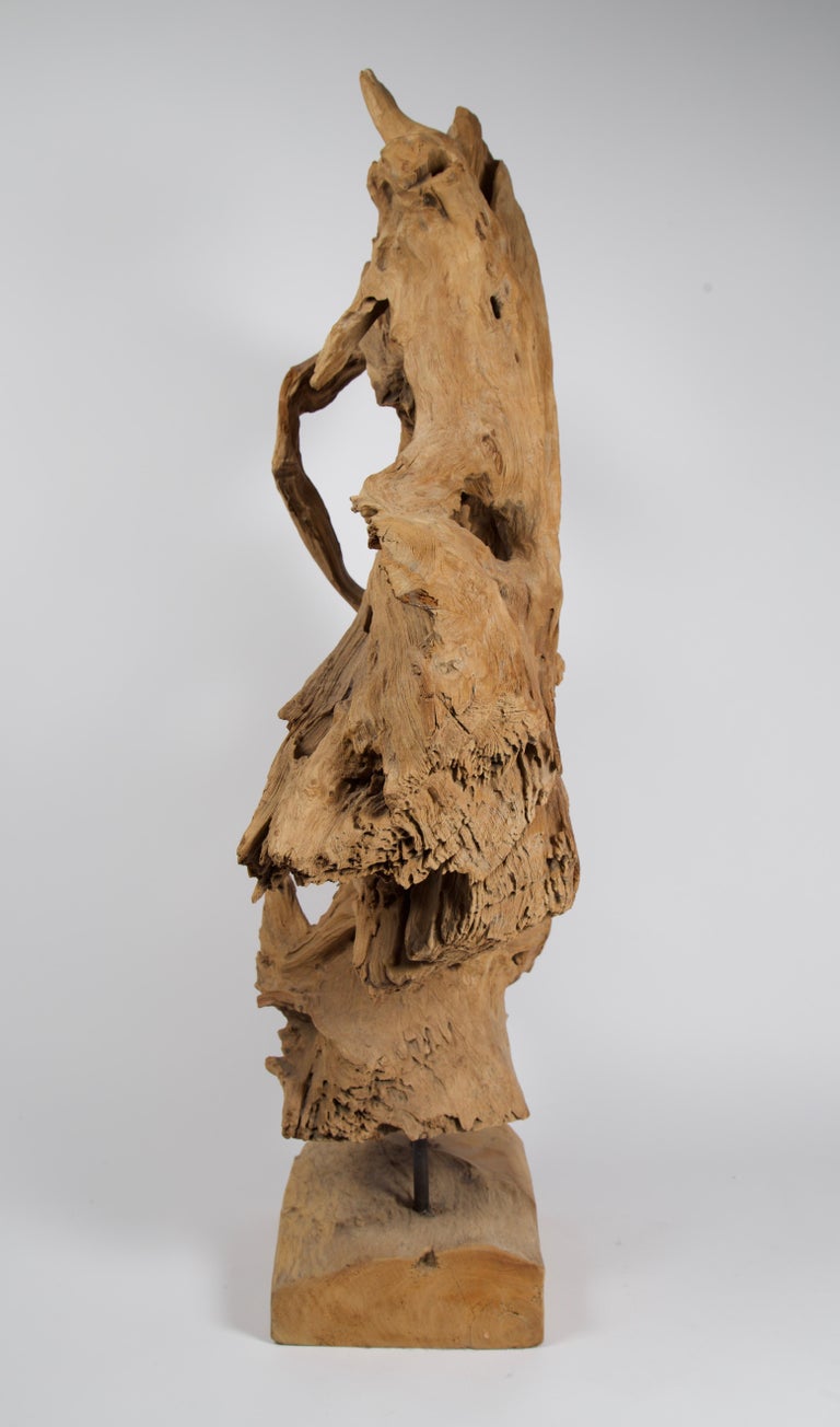 Abstract Freeform Teak Wood Sculpture For Sale at 1stDibs