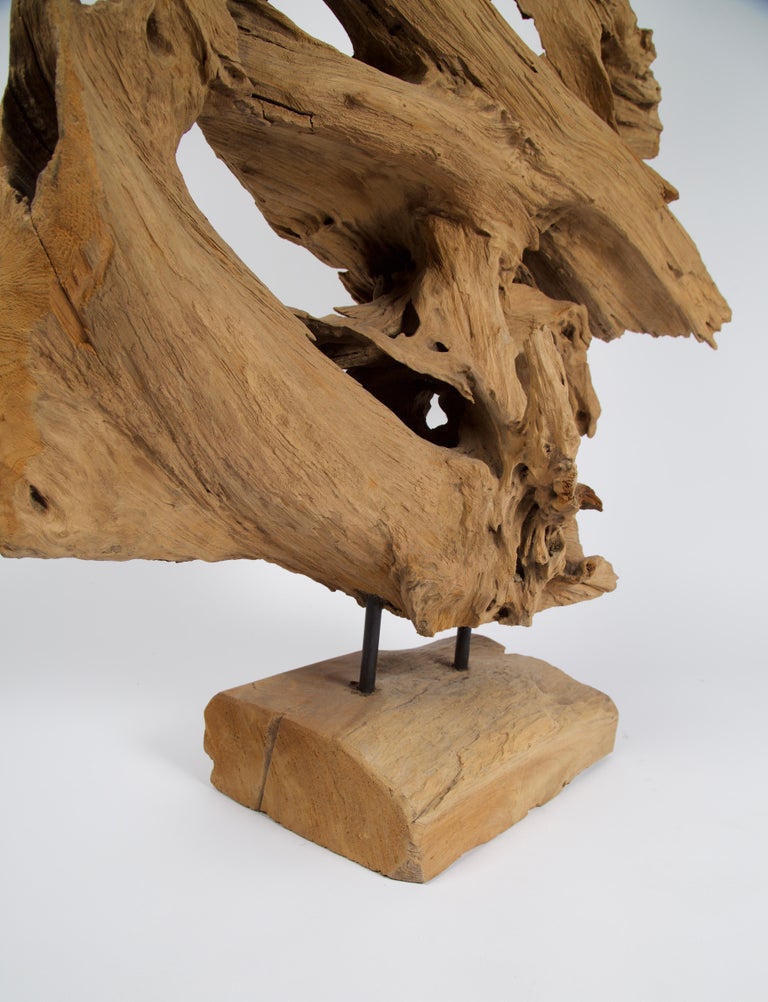 Abstract Freeform Teak Wood Sculpture For Sale at 1stDibs
