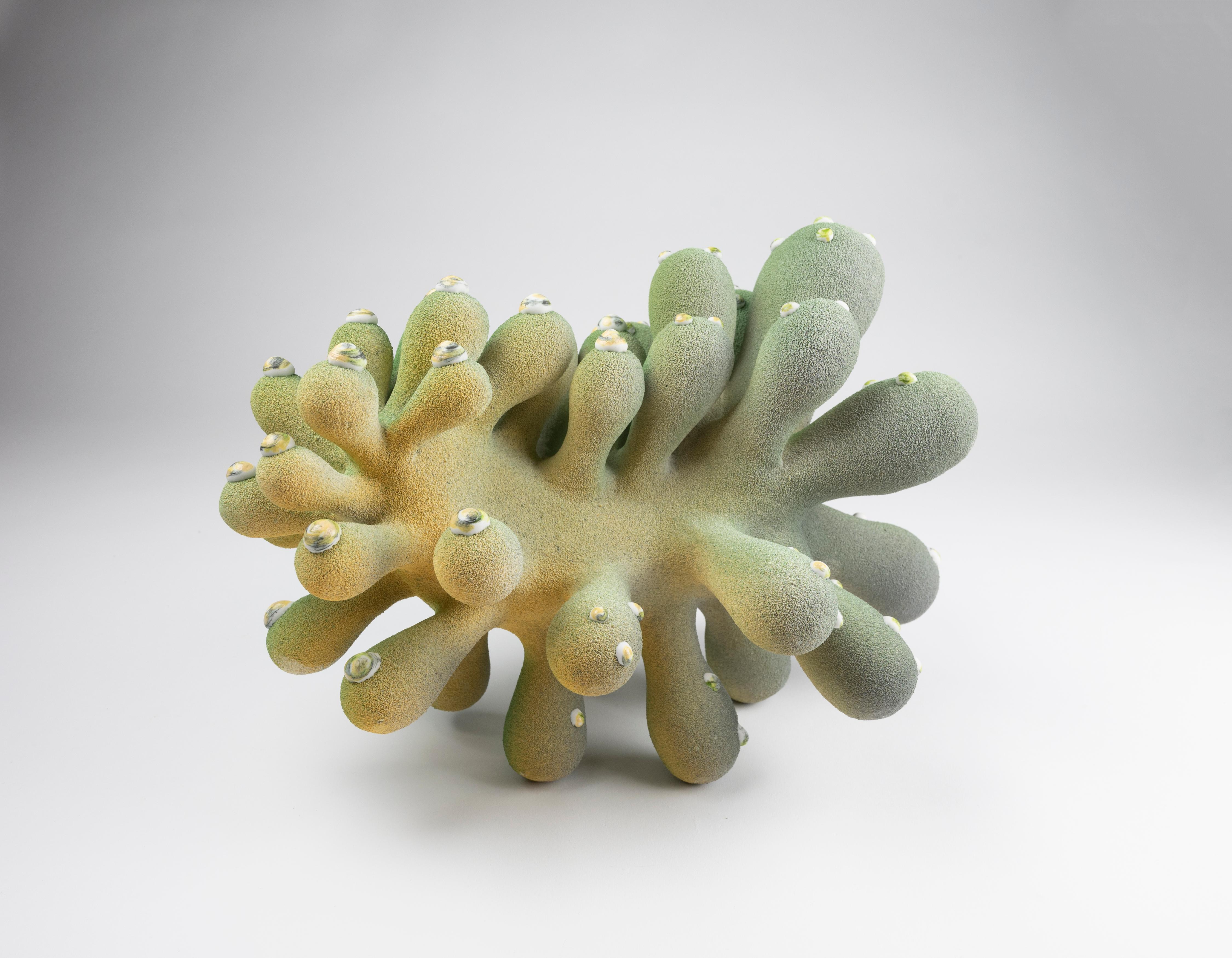 Jewels, 2021 (Ceramic, C. 10 in. h x 15 in. w x 10 in. d, Object No.: 3861)

Toni Losey’s work hums with an underlying current of rhythm and organization.  The repetition found on the wheel influences her work as Losey intuitively builds sculptural