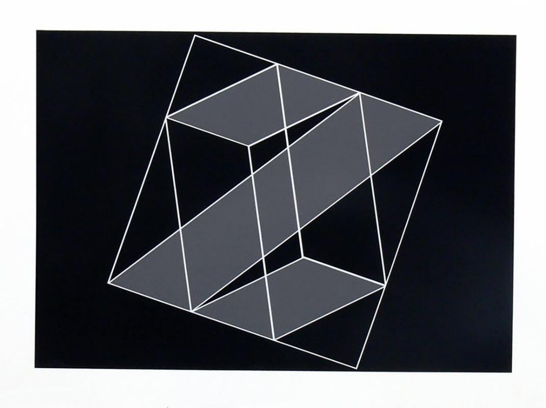 Abstrakte Lithografien von Josef Albers aus 