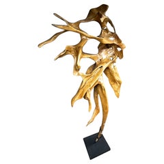 Scultura astratta di radici in mogano, laccata su supporto in metallo nero, 2022