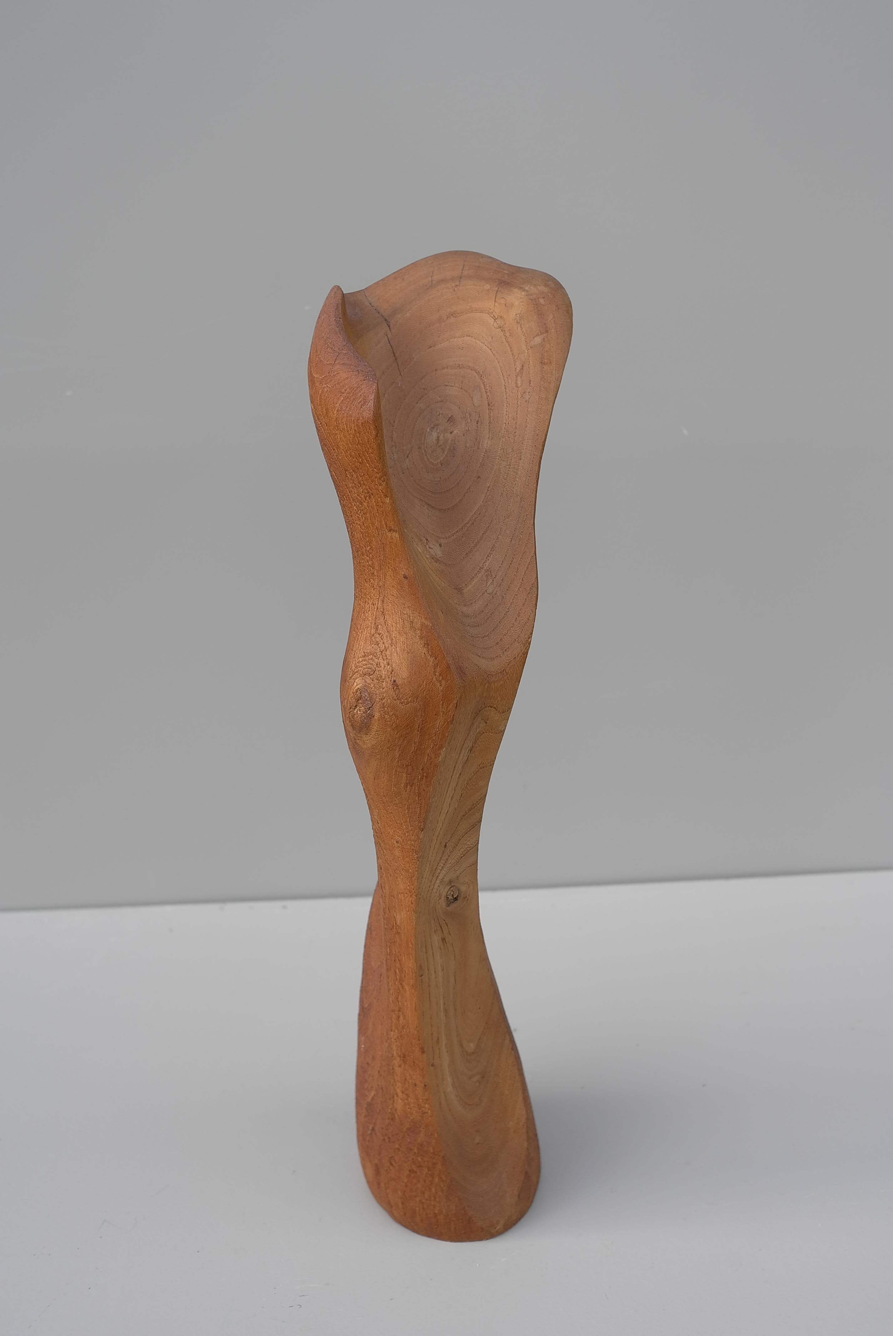 Mid-20th Century  Abstract Mid-Century Modern Organic Wooden Sculpture, 1960's For Sale