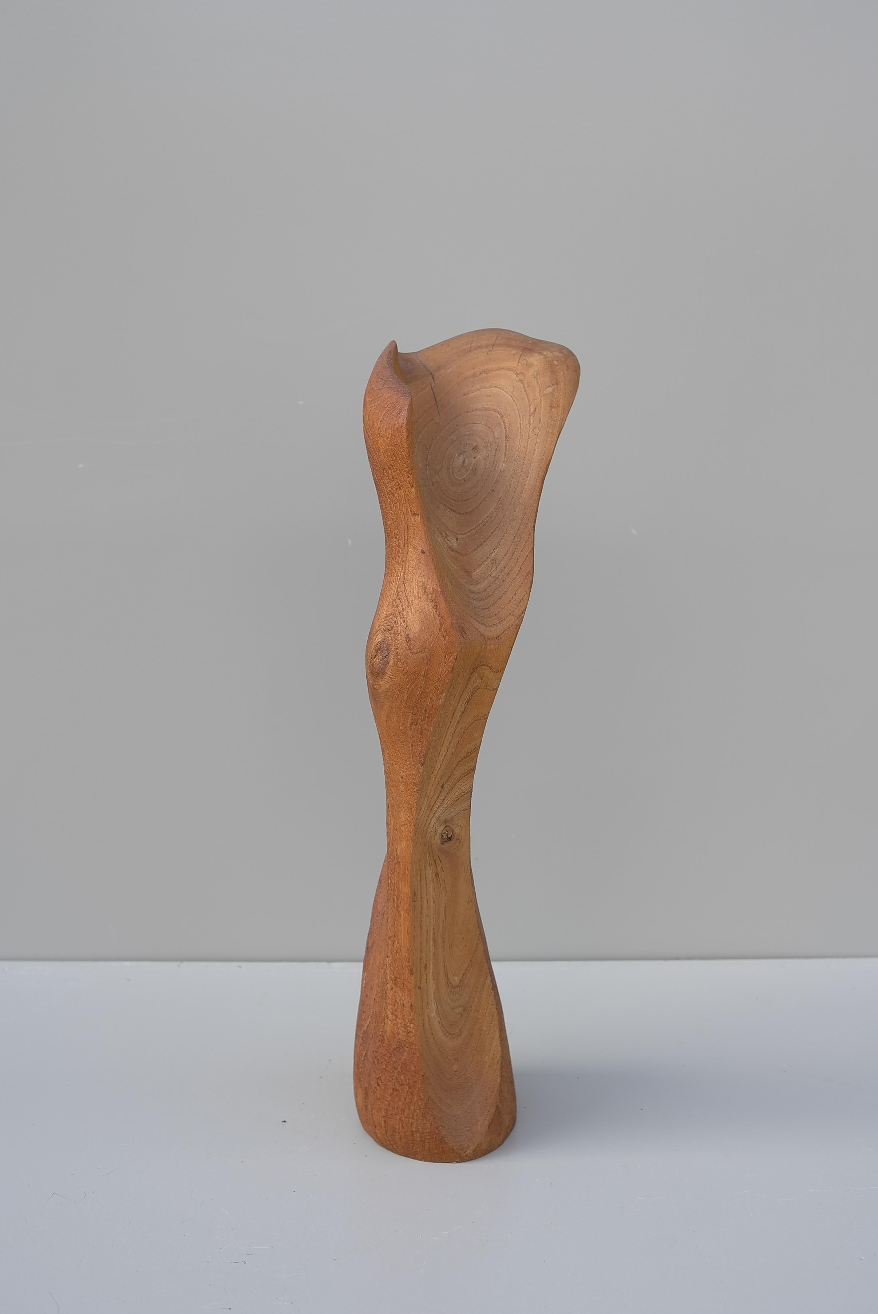  Abstract Mid-Century Modern Organic Wooden Sculpture, 1960's For Sale 1