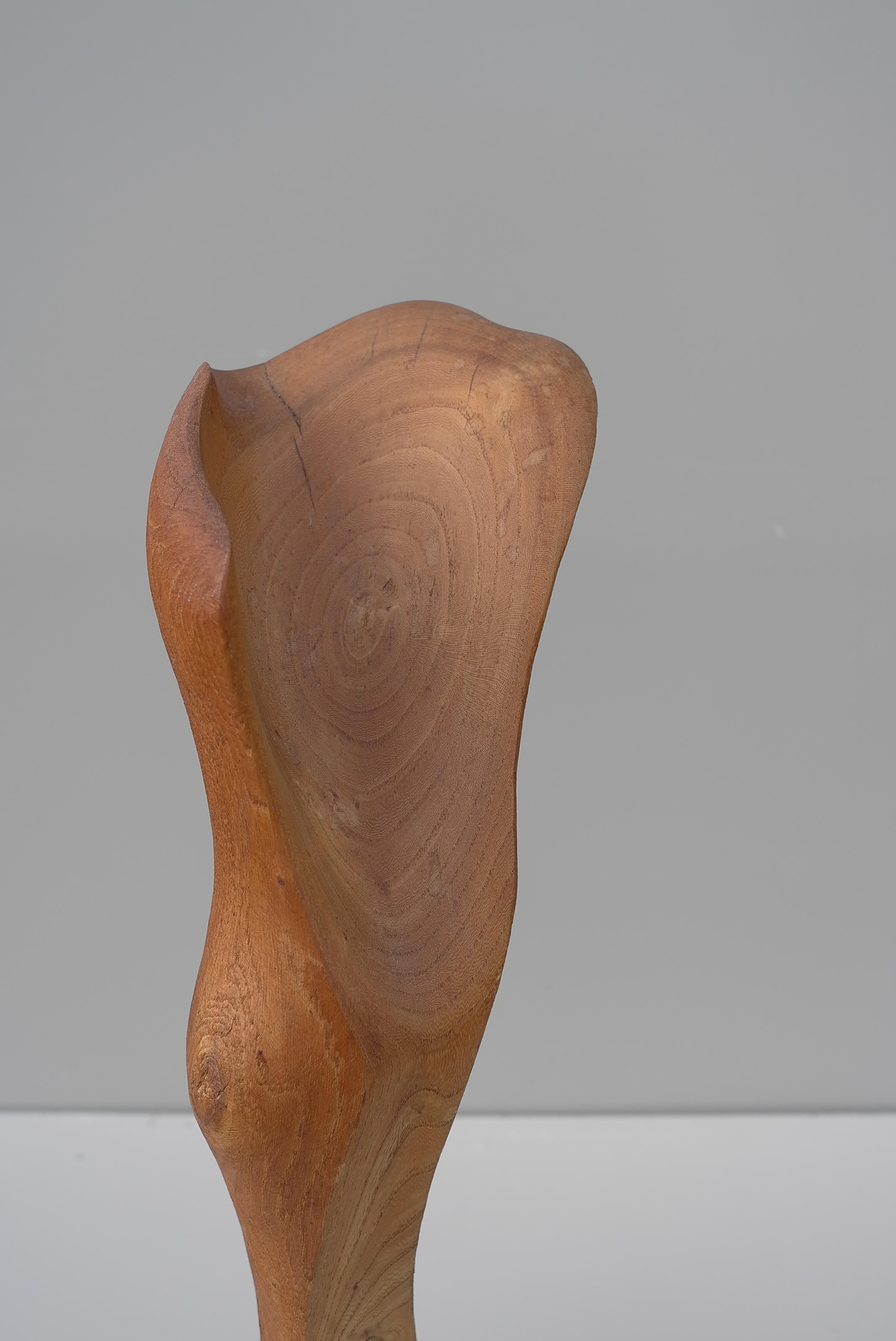  Abstract Mid-Century Modern Organic Wooden Sculpture, 1960's For Sale 2