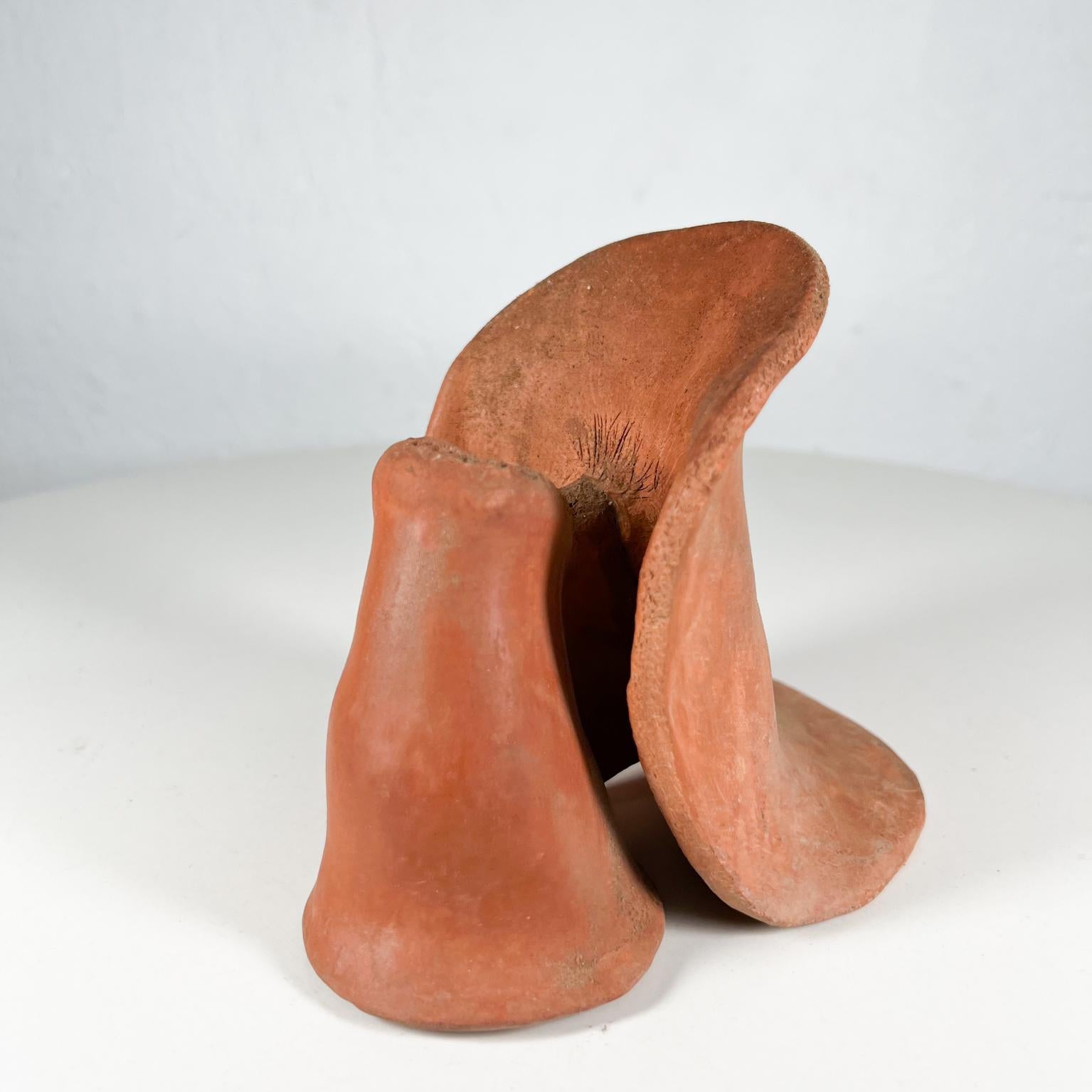 Abstract Modern Textured Brown Vertebrae Sculpture Pottery Art For Sale 3