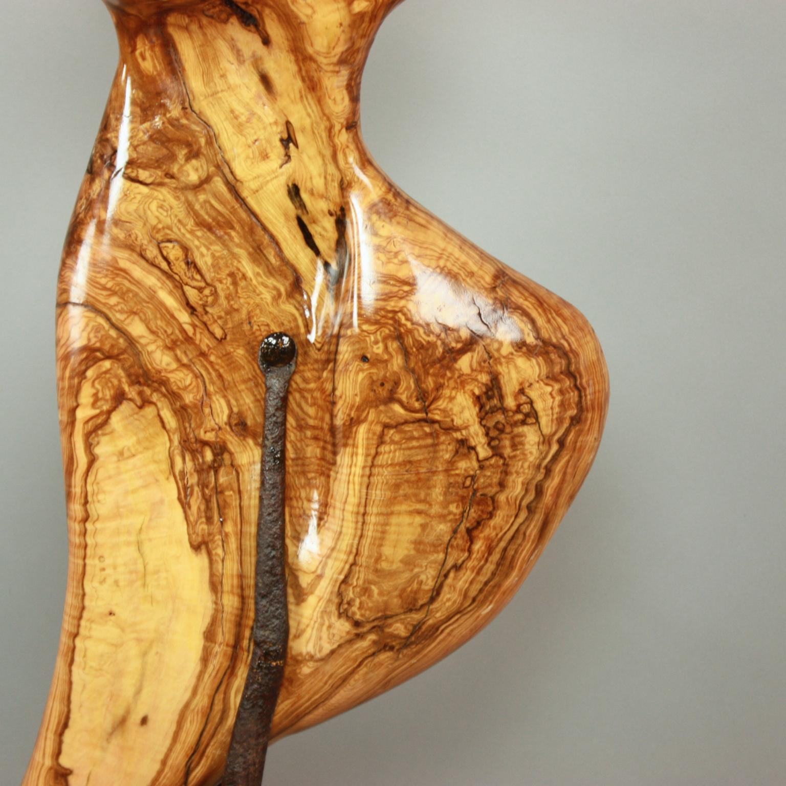 Modern Abstract Olivewood Organic Sculpture For Sale
