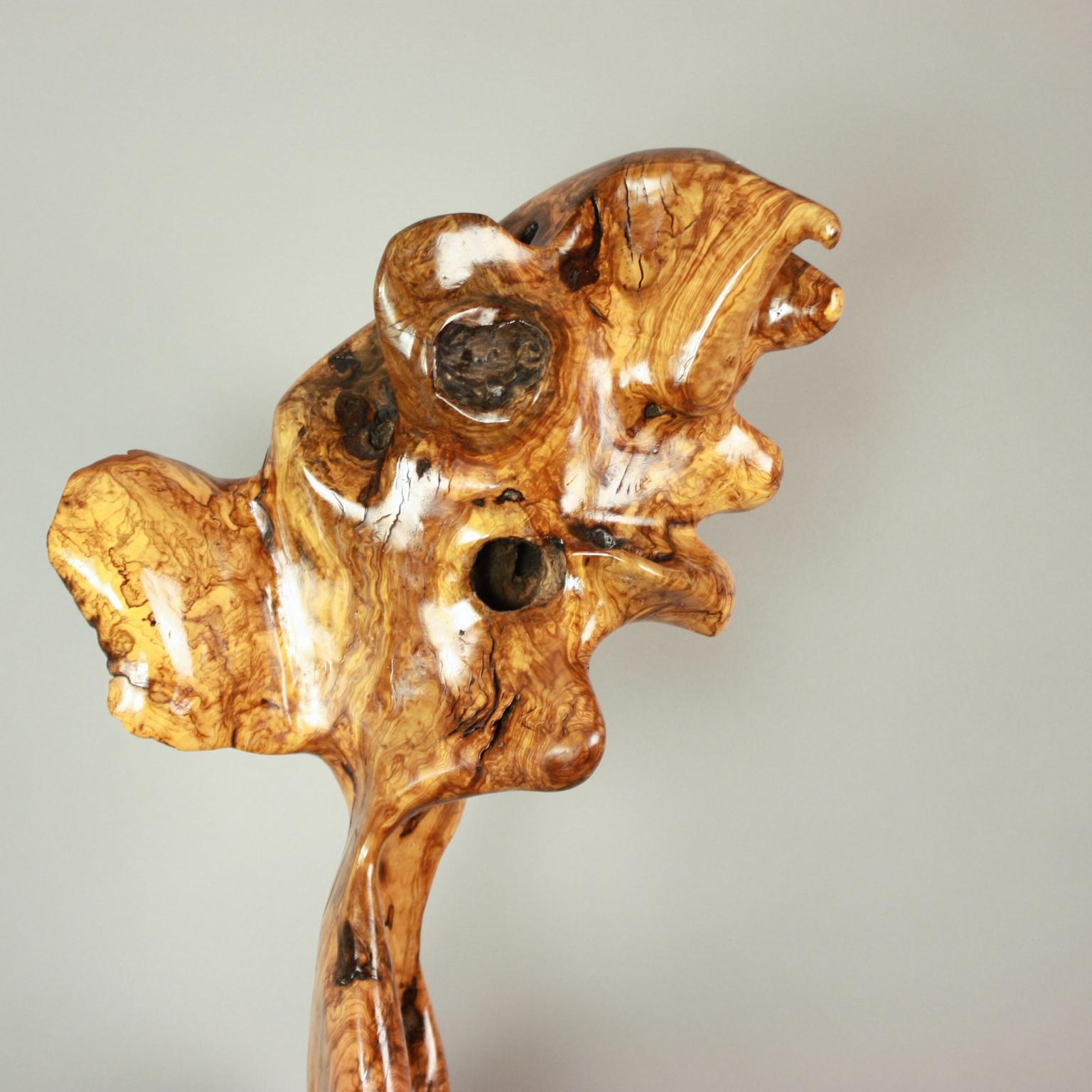 Abstract Olivewood Organic Sculpture In Excellent Condition For Sale In Berlin, DE