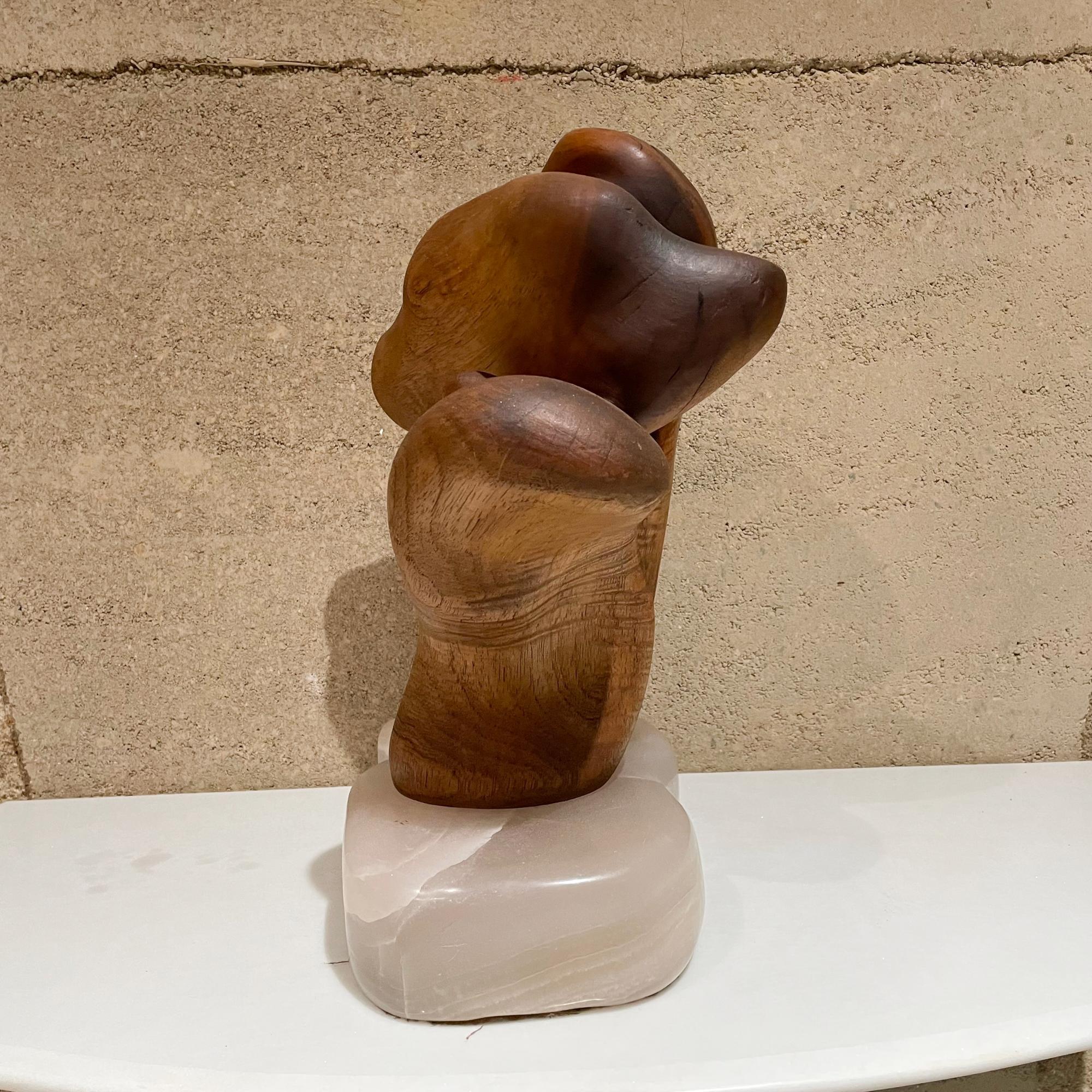 Unknown Abstract Organic Form Exquisite Wood Grain Sculpture on Translucent Stone Base For Sale