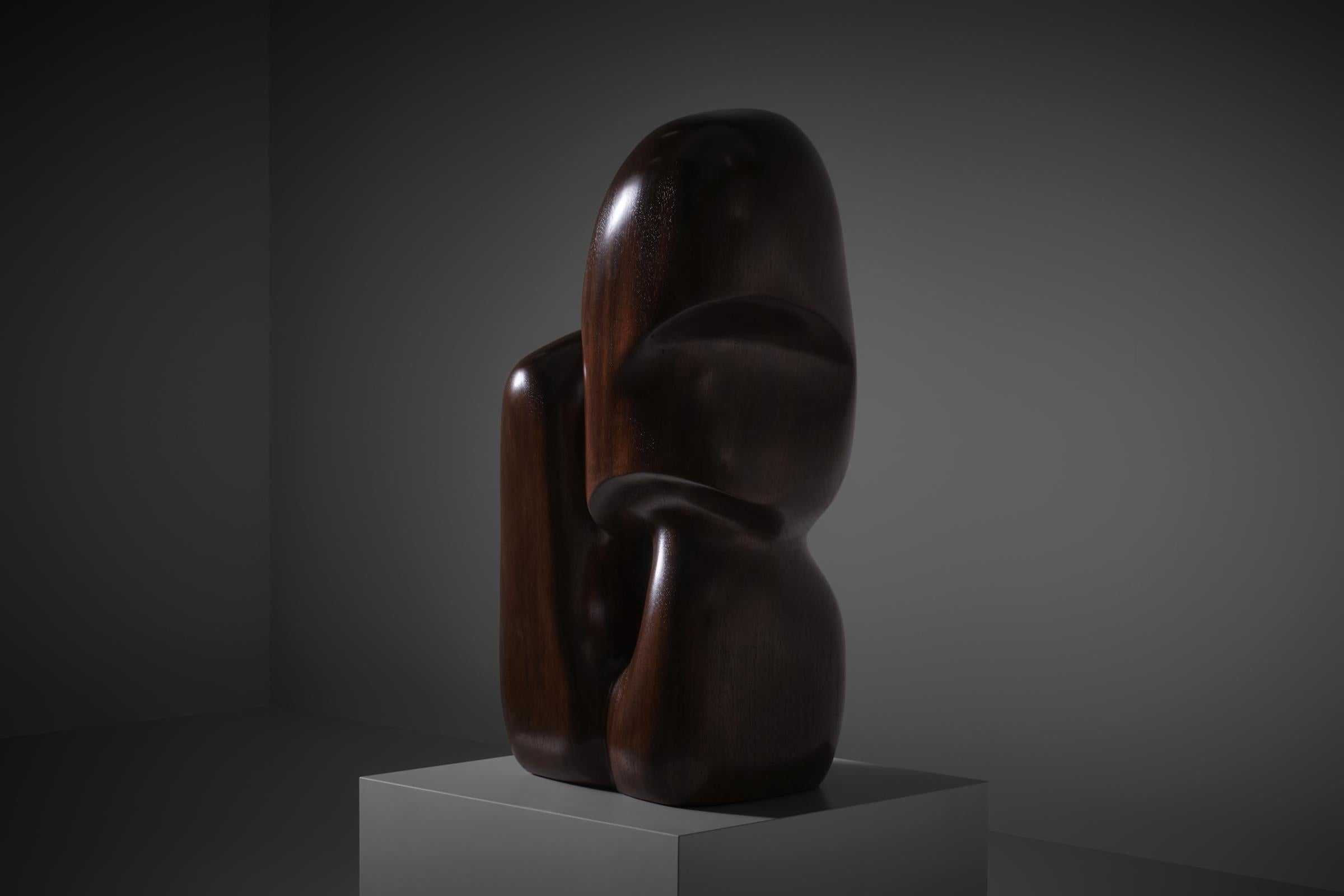 Abstract Organic shaped Iroko wooden sculpture, 1970s For Sale 3