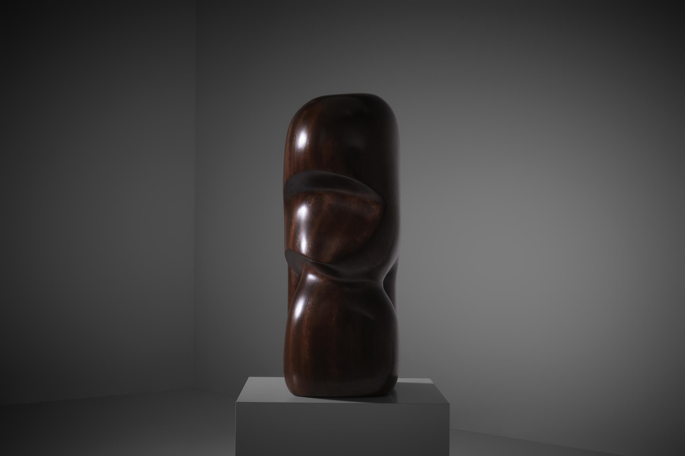 Wood Abstract Organic shaped Iroko wooden sculpture, 1970s For Sale