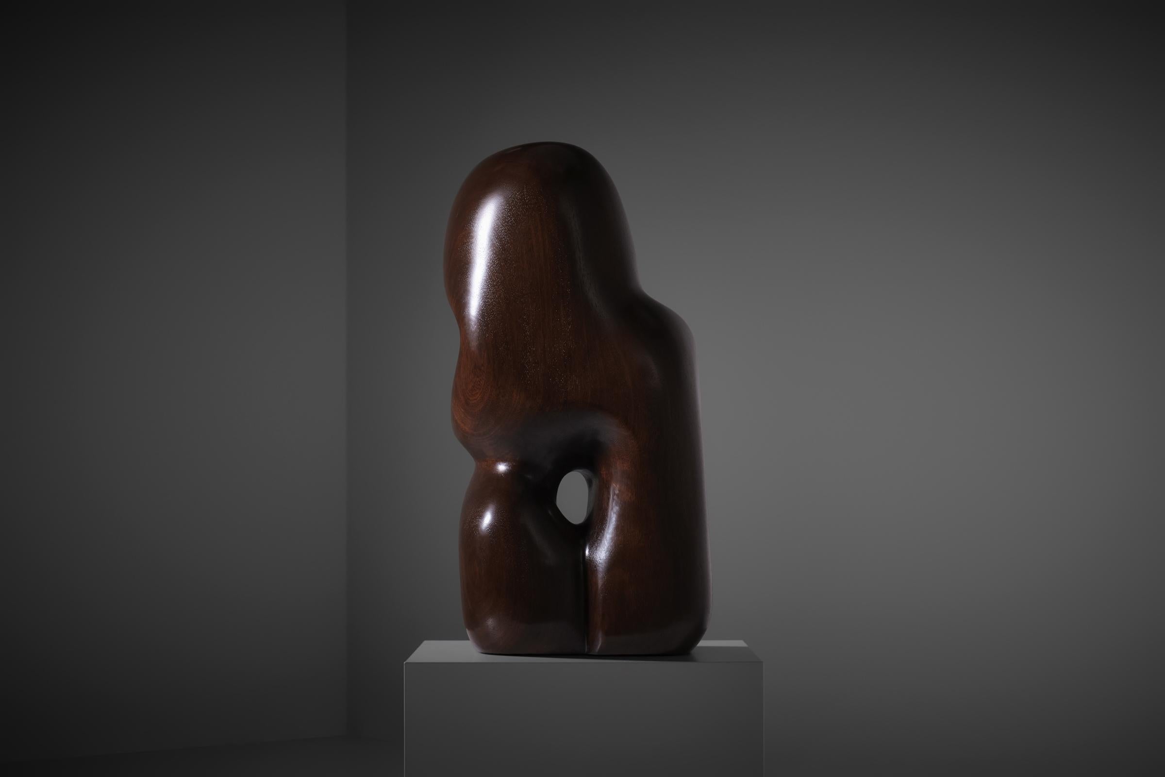 Abstract Organic shaped Iroko wooden sculpture, 1970s For Sale 1