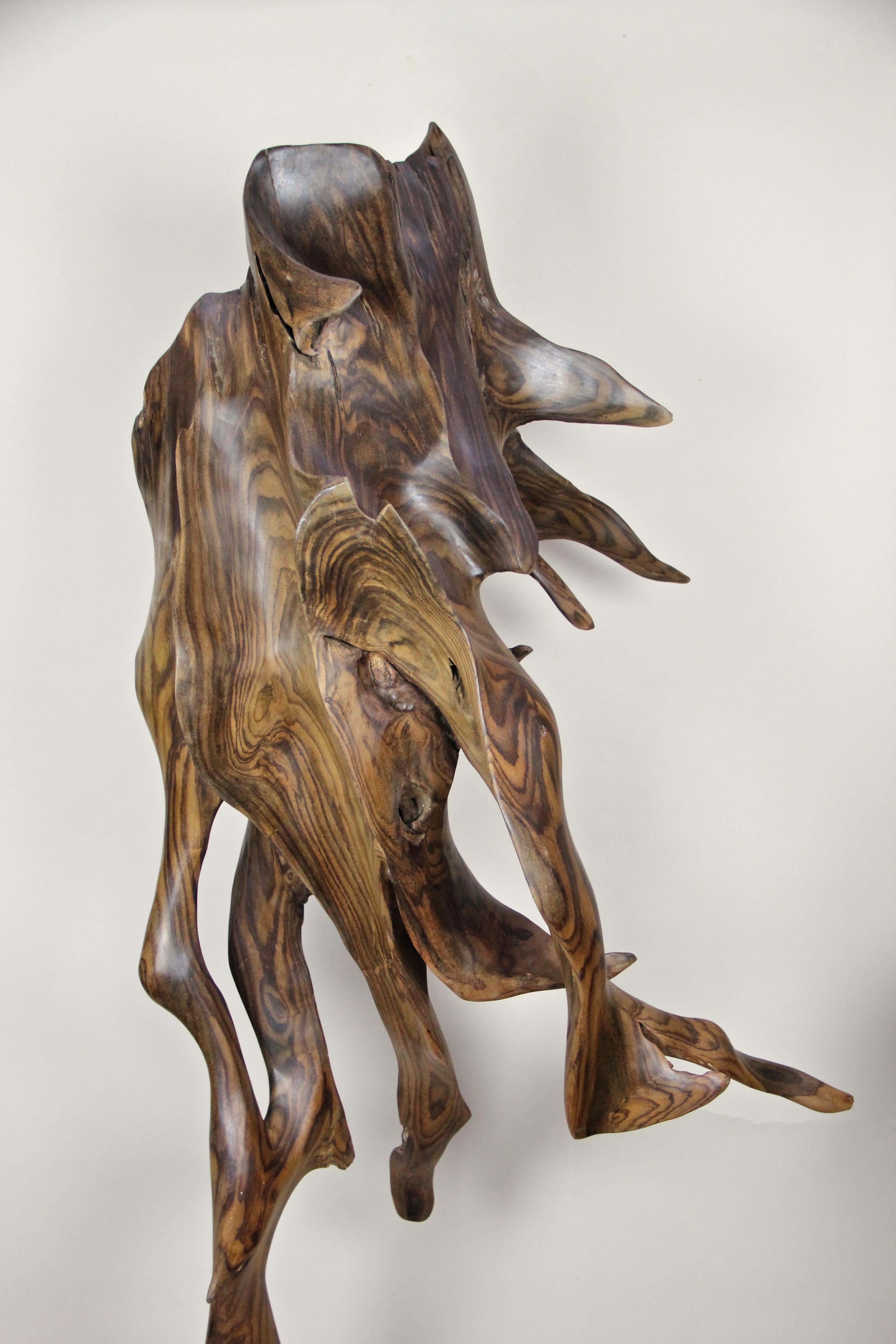 Abstract Organic Sonokeling Wood Root Sculpture on Mat Black Metal Stand 5