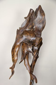 Abstract Organic Sonokeling Wood Root Sculpture on Mat Black Metal Stand