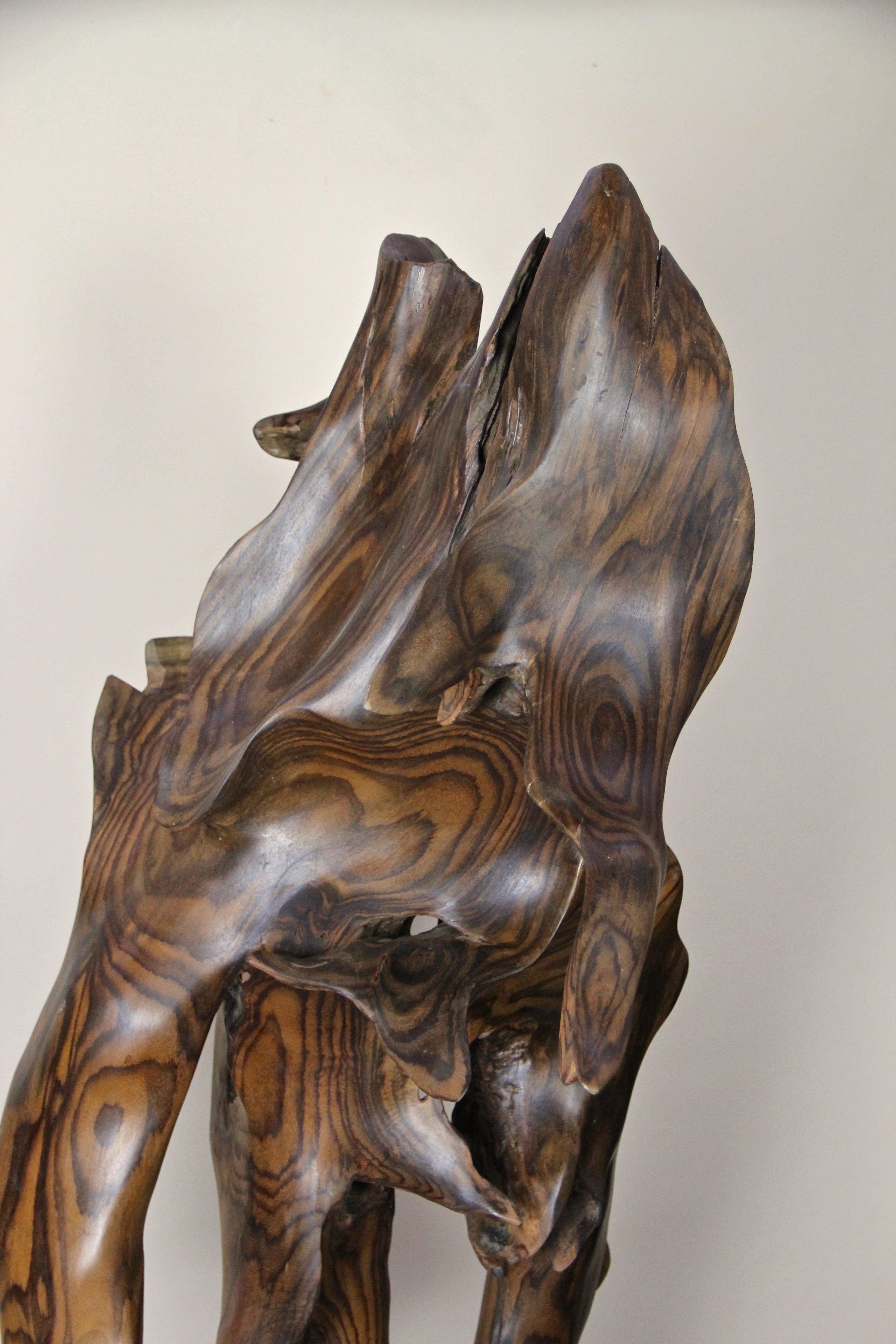 Organic Modern Abstract Organic Sonokeling Wood Root Sculpture on Mat Black Metal Stand