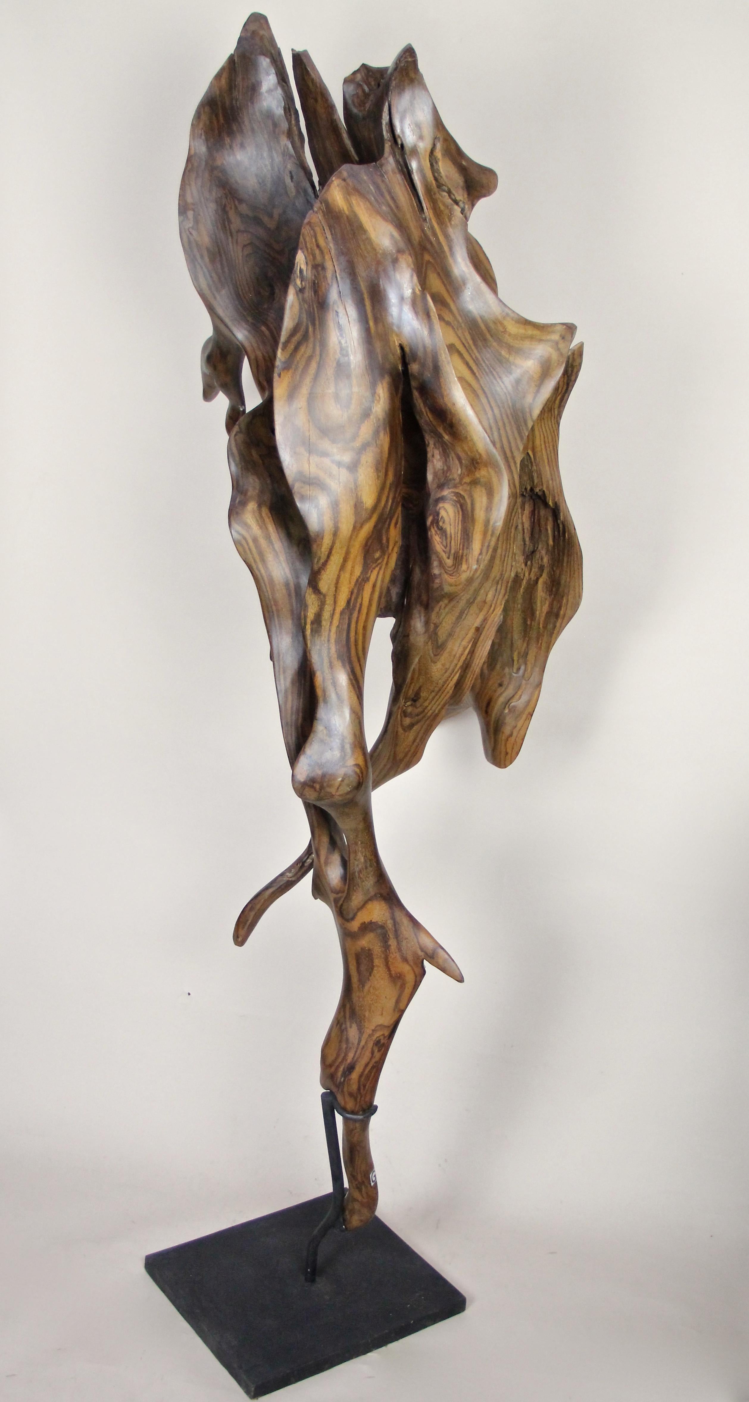 Abstract Organic Sonokeling Wood Root Sculpture on Mat Black Metal Stand 1