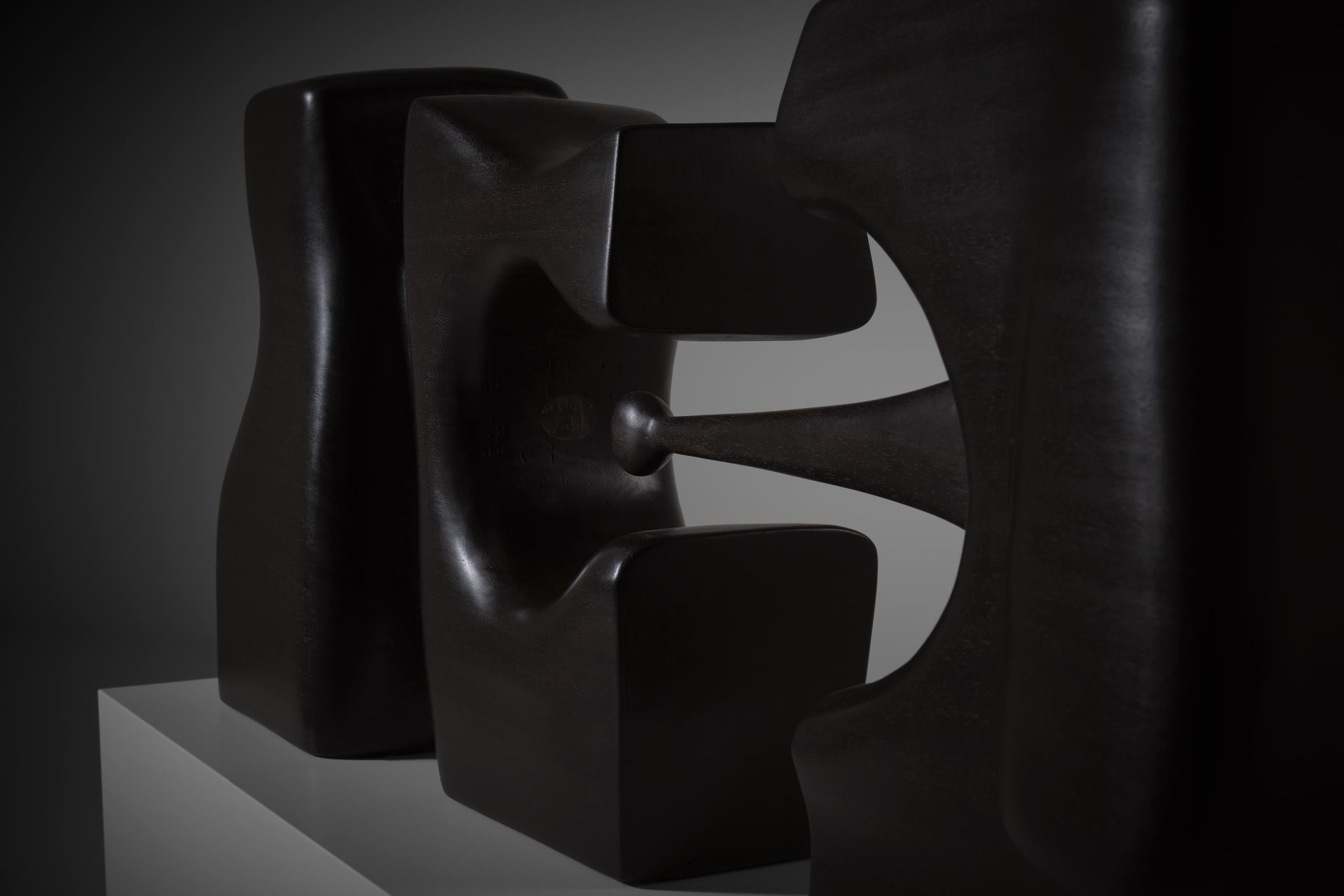 Scultura organica astratta in legno di B. van Beek, anni '70 in vendita 2