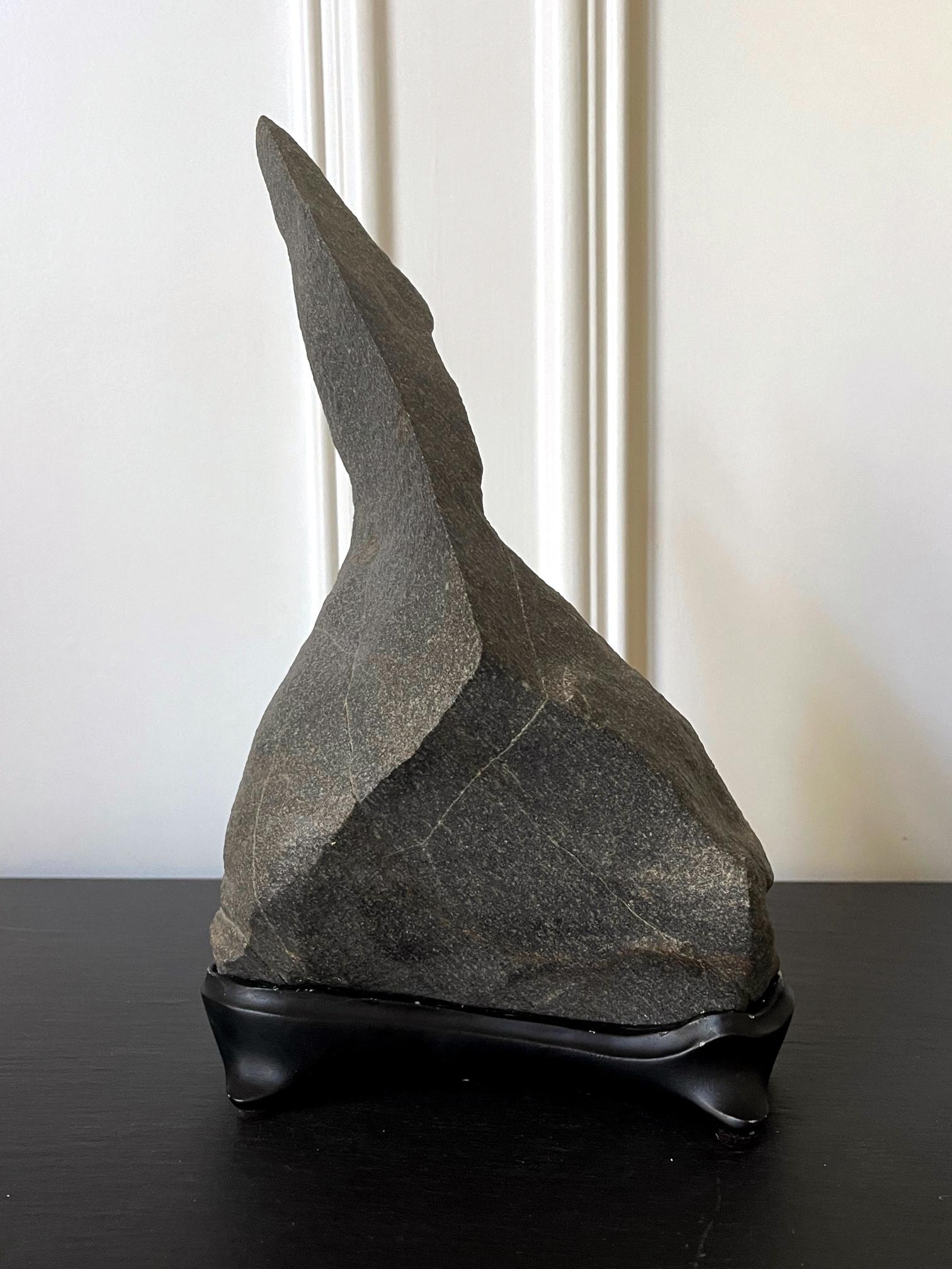 On offer is a highly abstract scholar rock on a fitted wood stand collected by an American collector in Palm Desert, CA. The dense rock in dark grey is likely granite and takes a natural sculptural form of a bird, which explains the note on the back