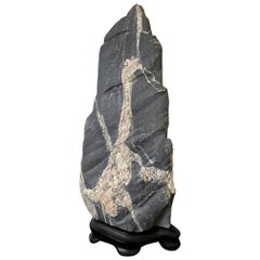 Abstract Scholar Rock Viewing Stone on Wood Stand