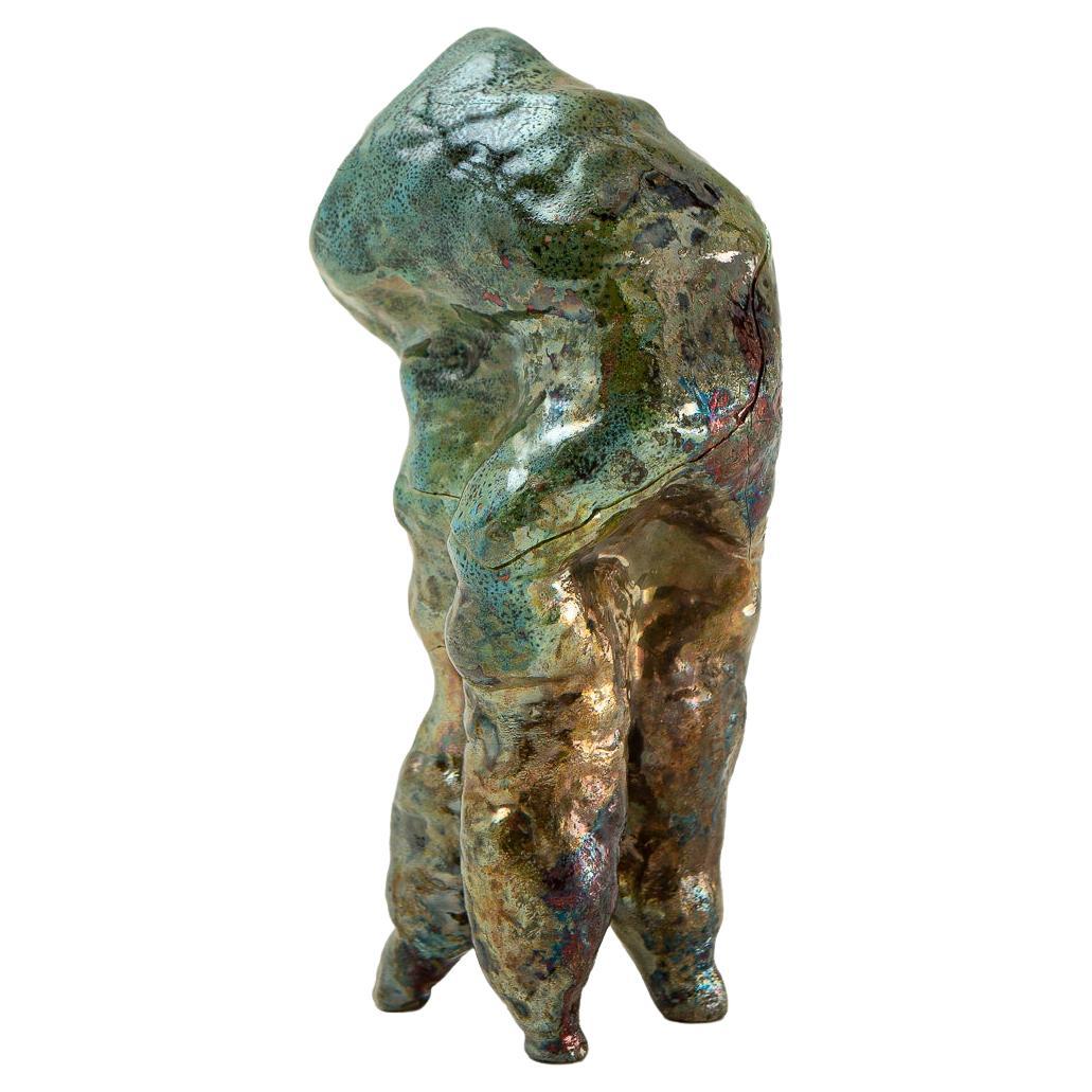 Surreal Raku Abstract Sculpture, Ceramic, Raku, Cycle Locked in a Shell For Sale at ...