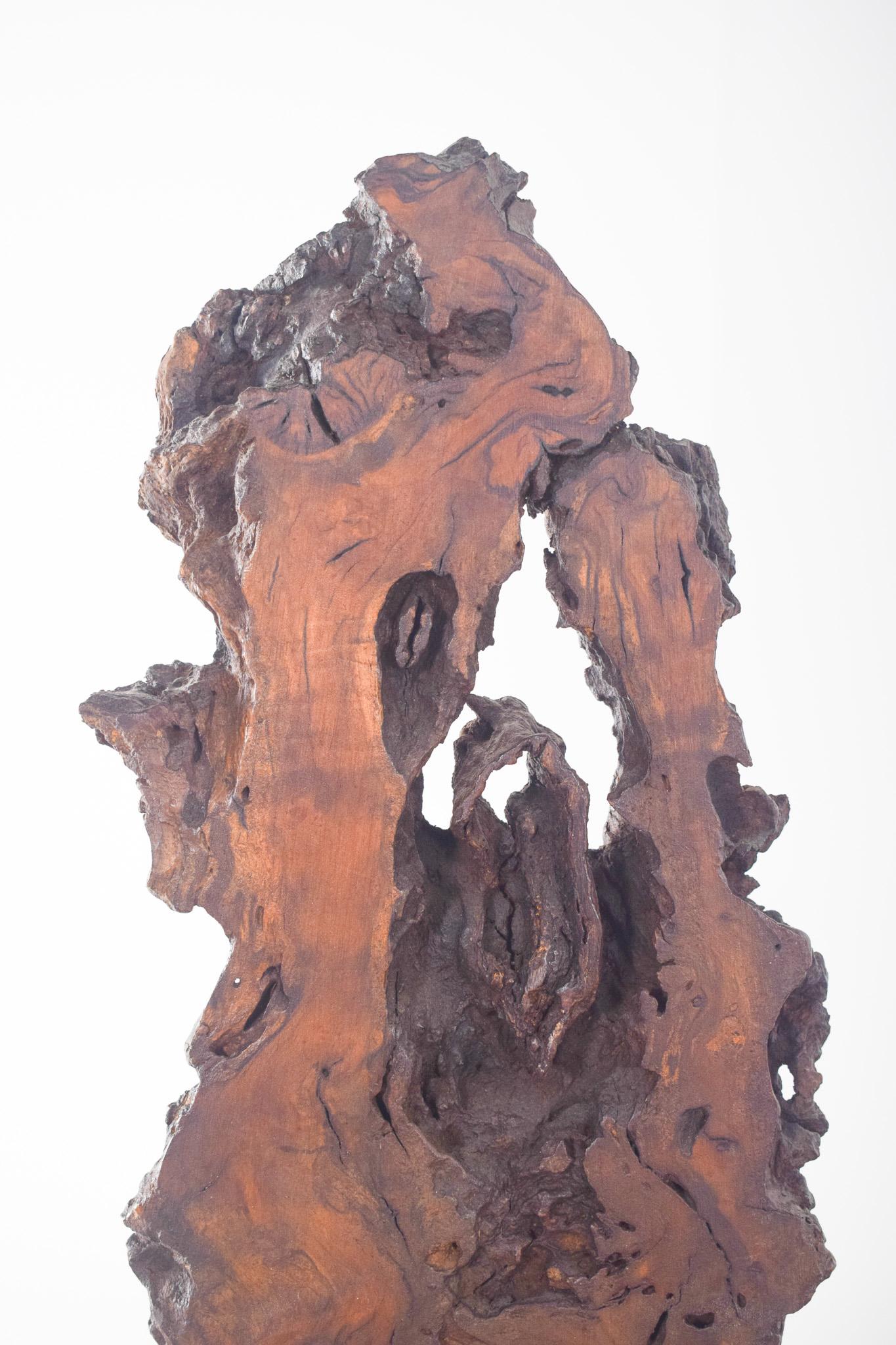 Moderno Scultura astratta in legno di noce, europea in vendita