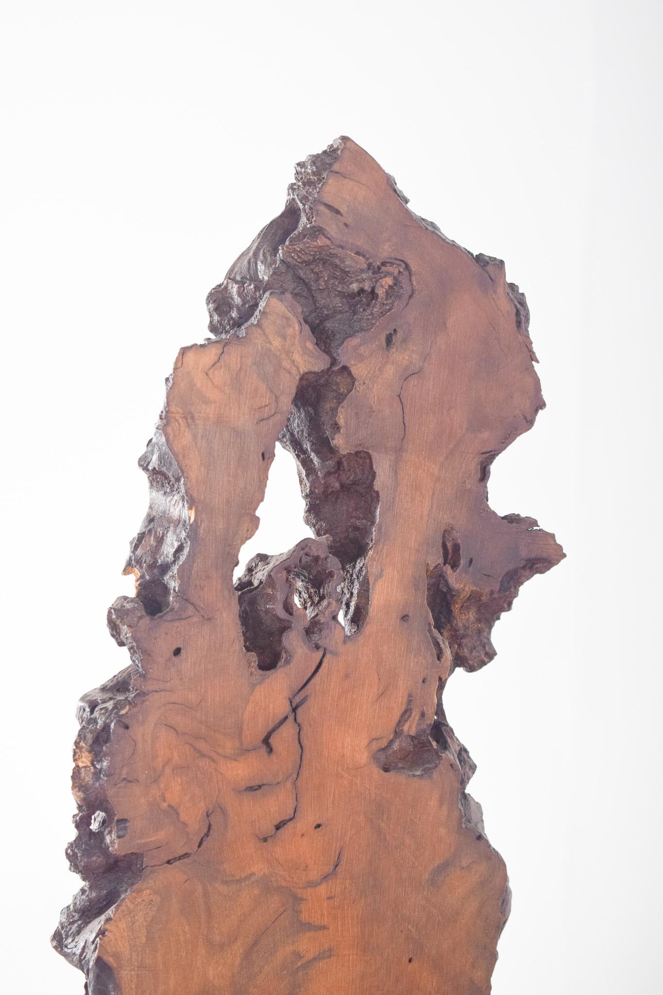 XX secolo Scultura astratta in legno di noce, europea in vendita
