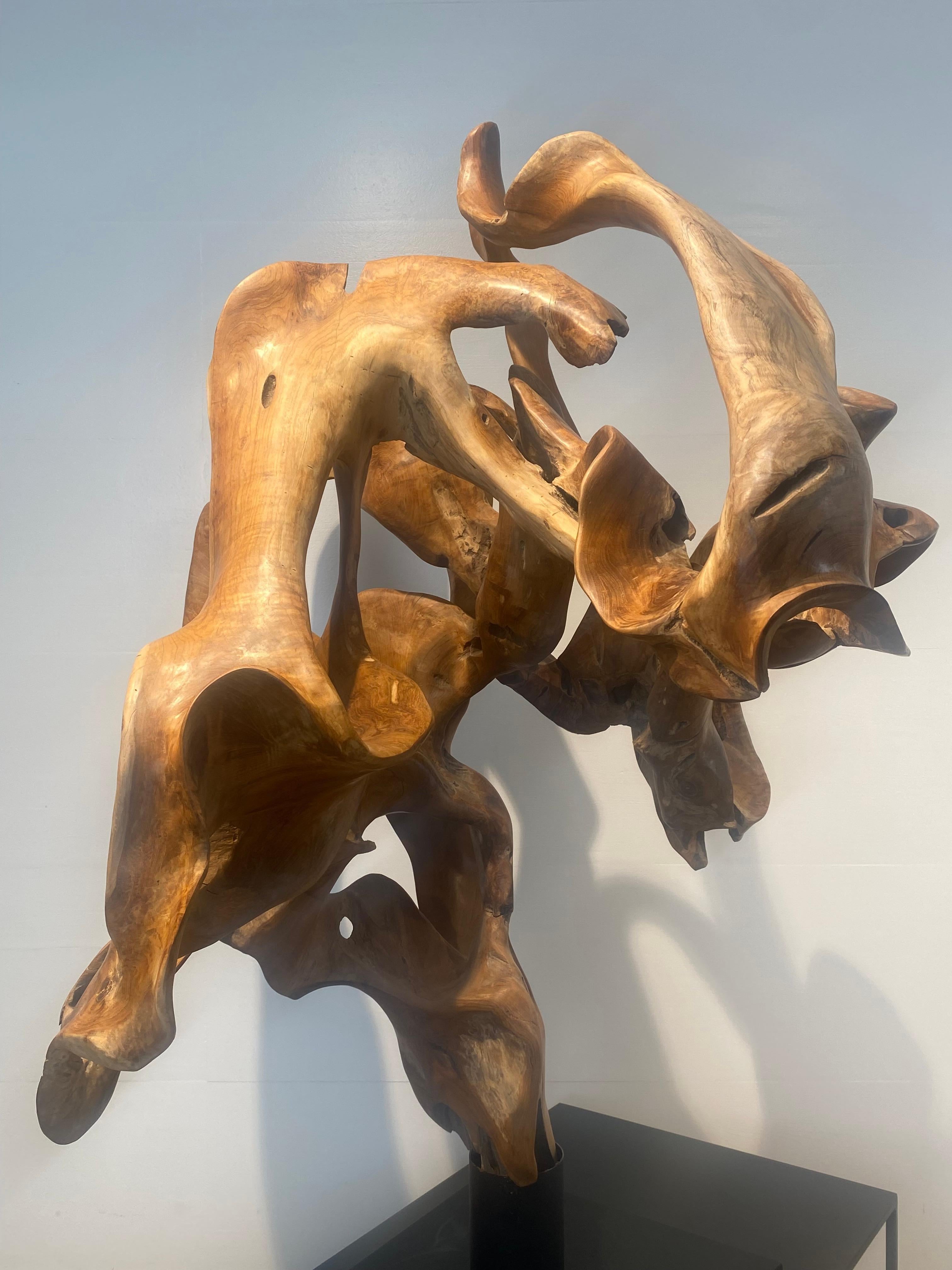 Abstrakte Skulptur einer Teakwurzel im Angebot 3