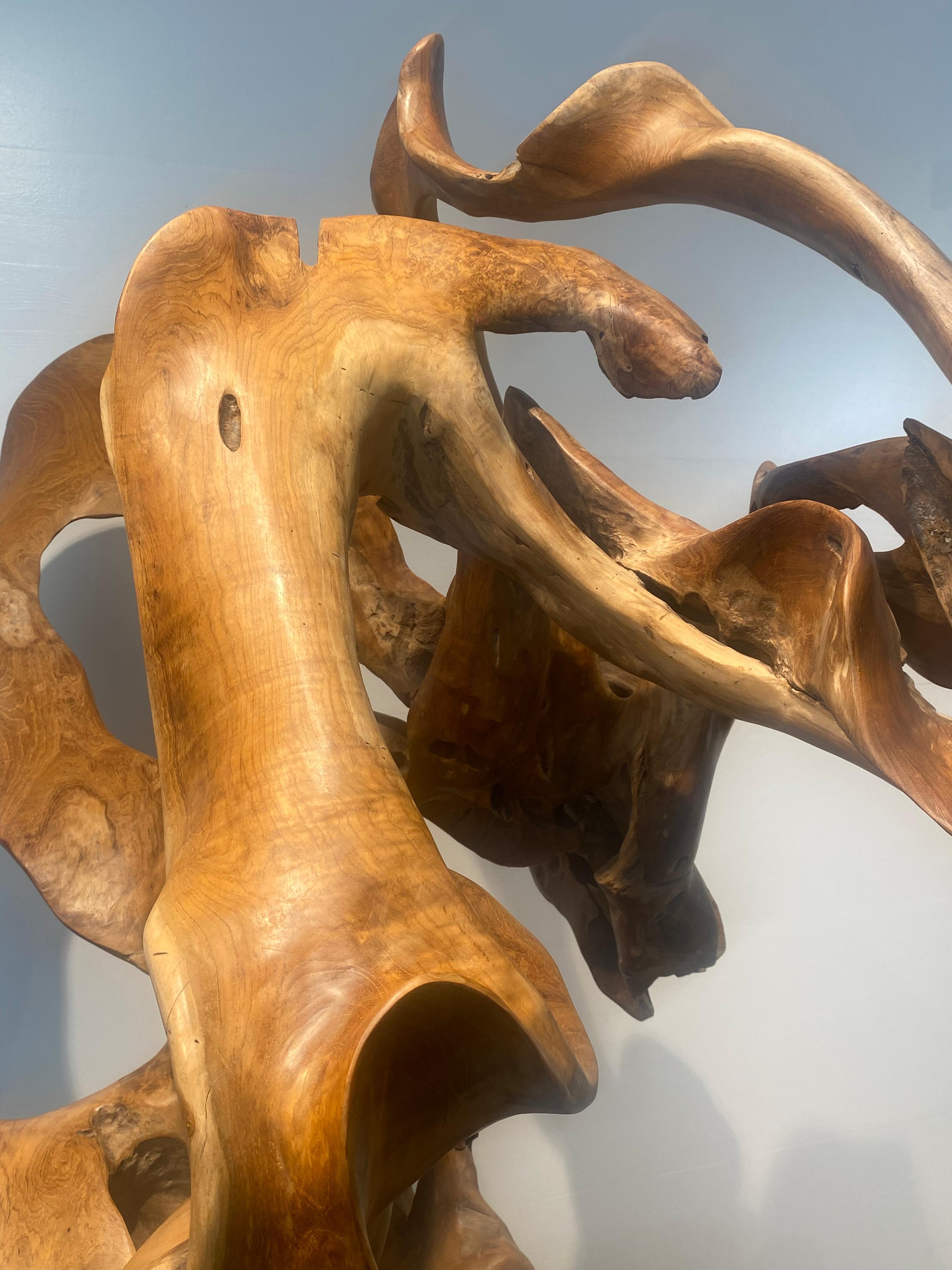 Abstrakte Skulptur einer Teakwurzel im Angebot 4