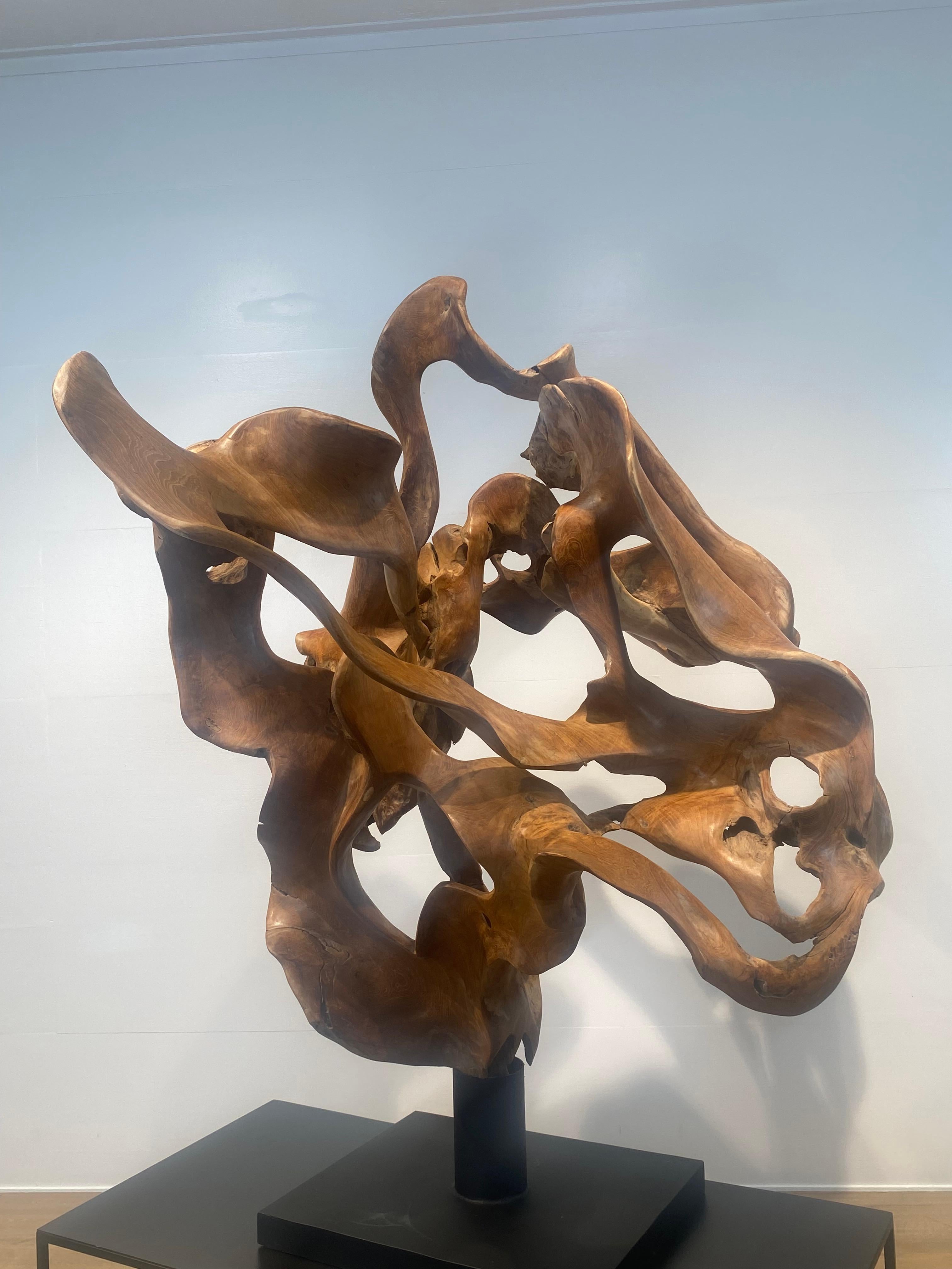 Abstrakte Skulptur einer Teakwurzel im Angebot 5