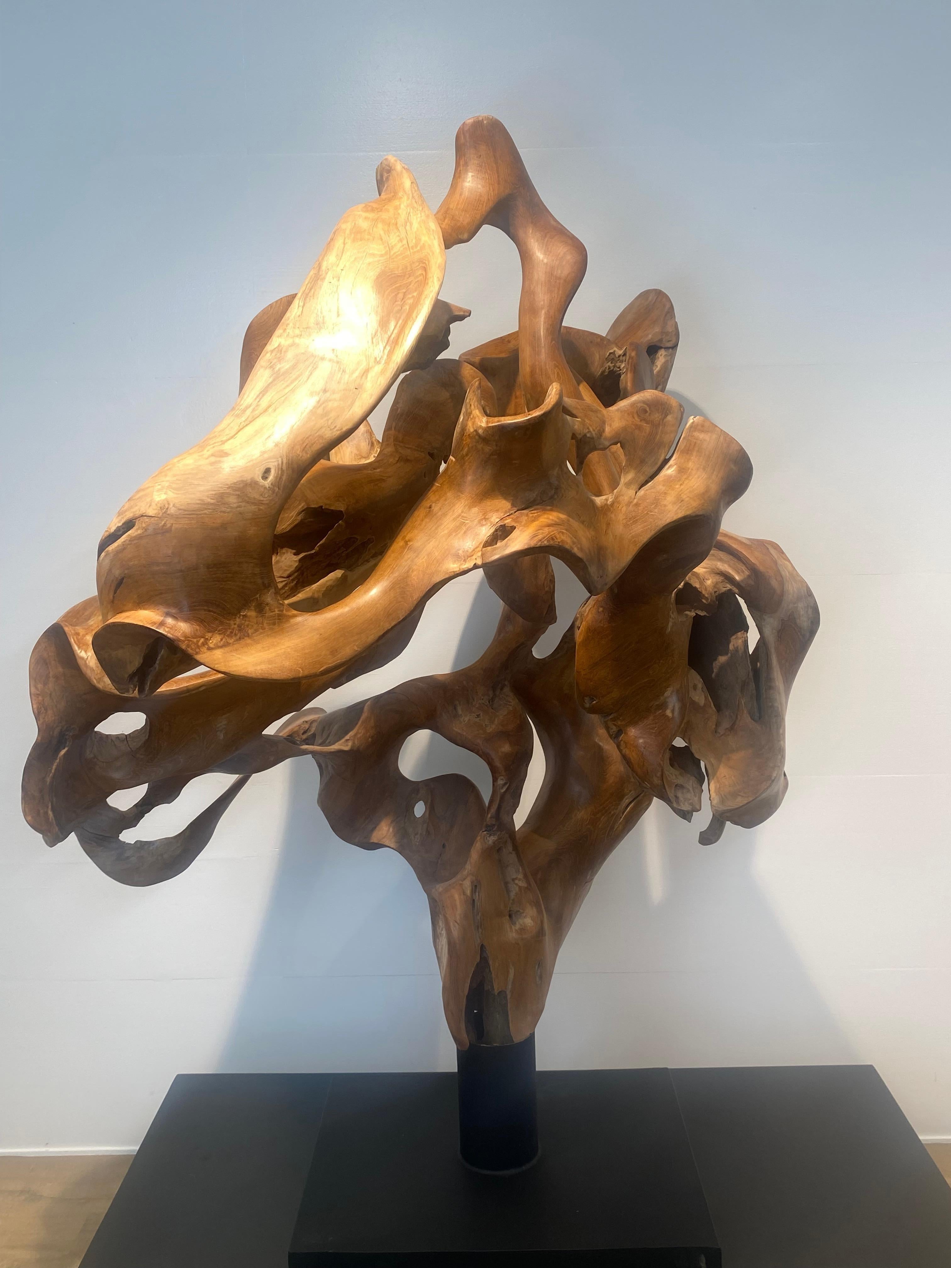 Abstrakte Skulptur einer Teakwurzel im Angebot 6