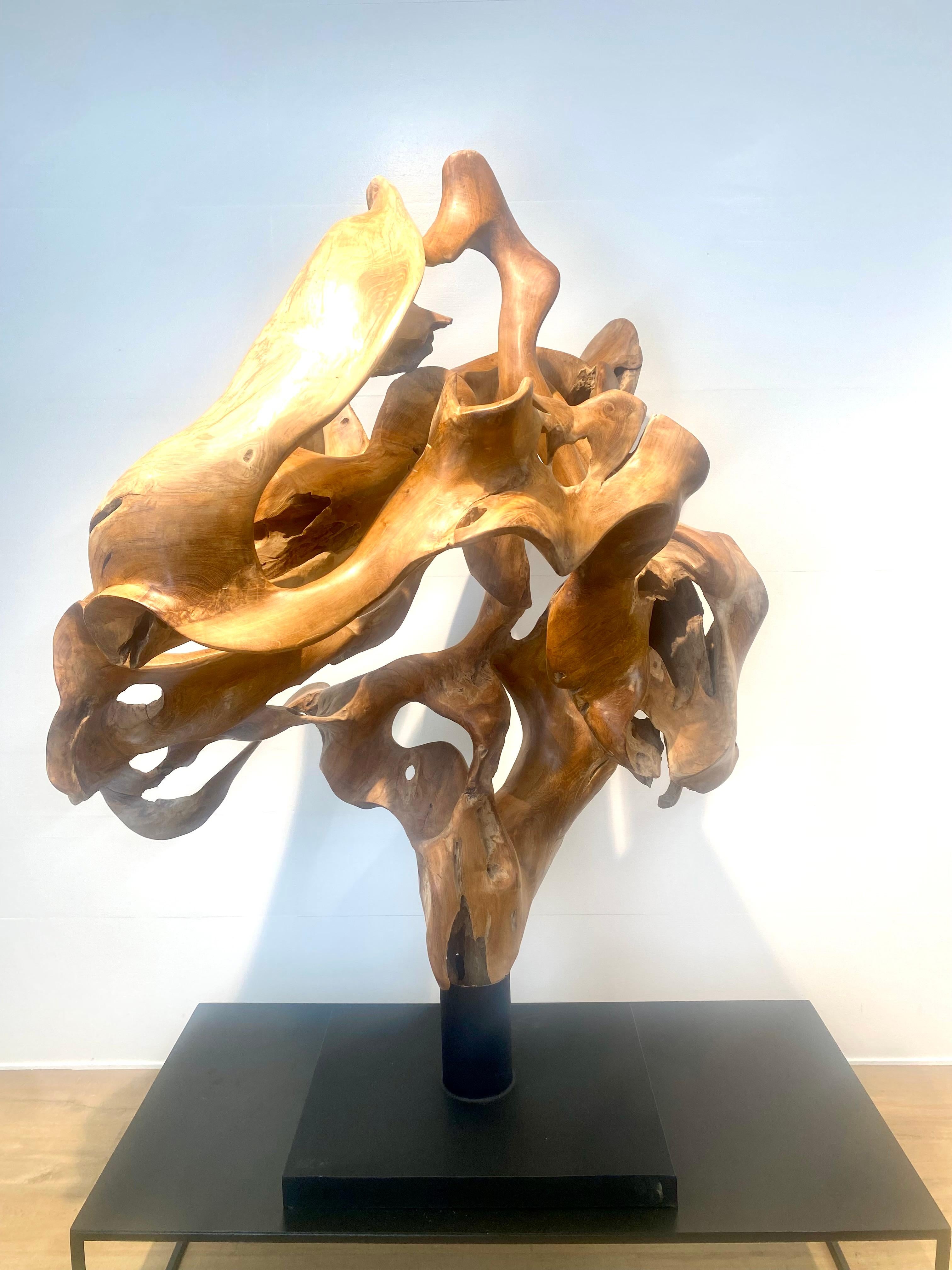 Abstrakte Skulptur einer Teakwurzel im Angebot 8