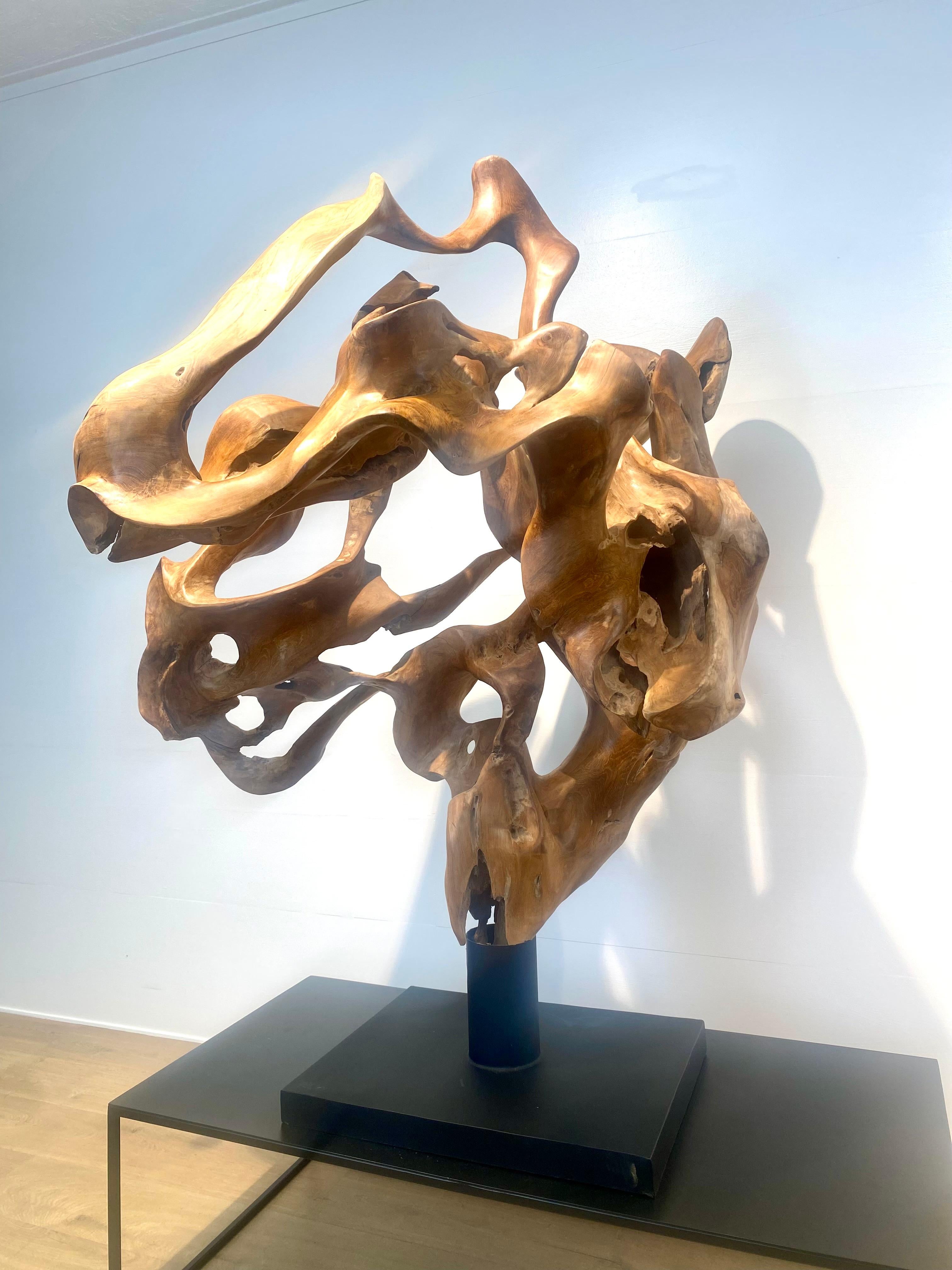 Abstrakte Skulptur einer Teakwurzel im Angebot 9