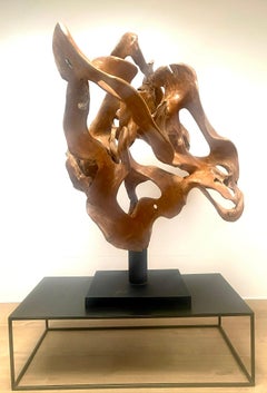Abstract Sculpture of a Teak Root
