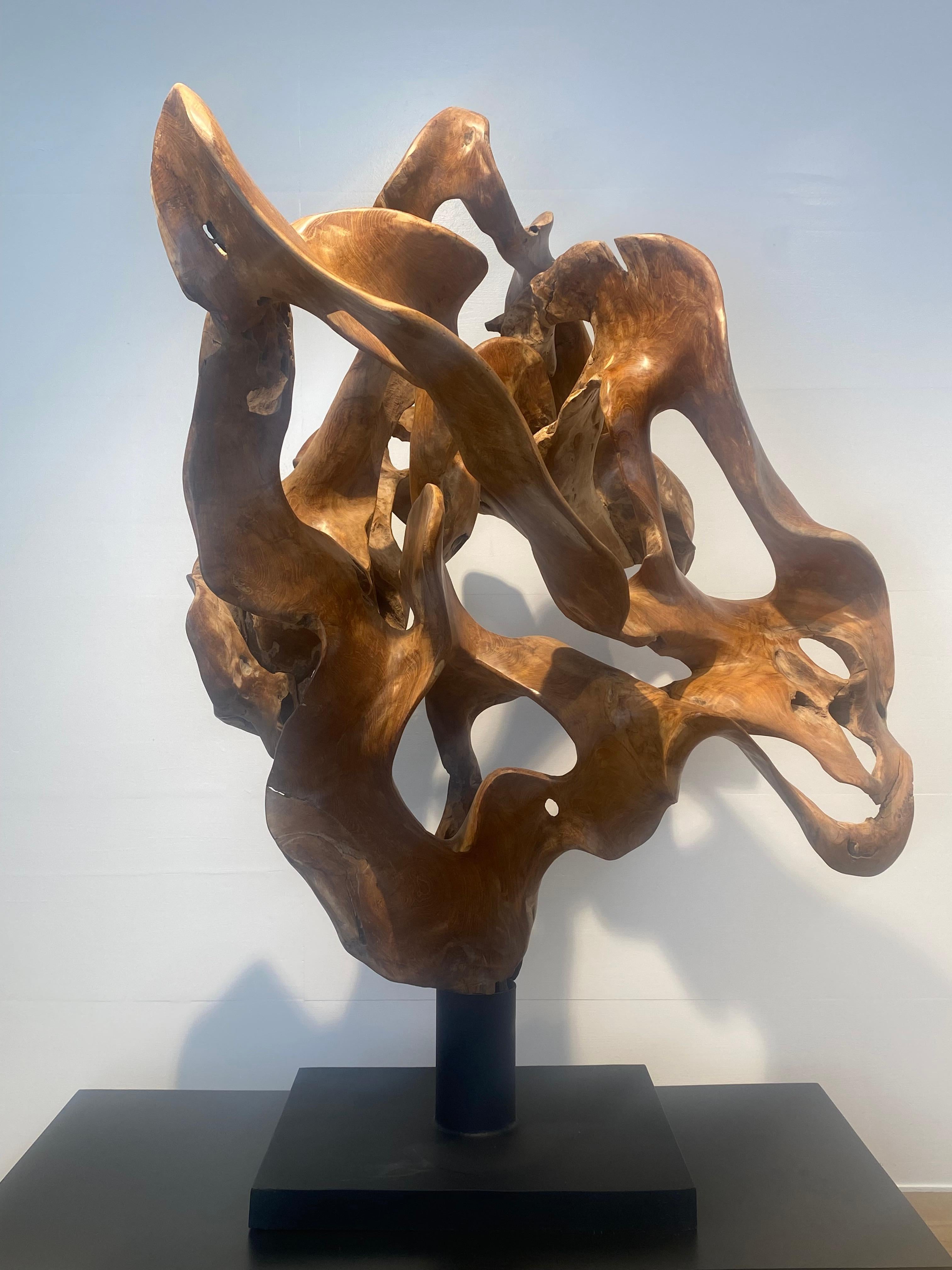 Abstrakte Skulptur einer Teakwurzel im Zustand „Gut“ im Angebot in Schellebelle, BE