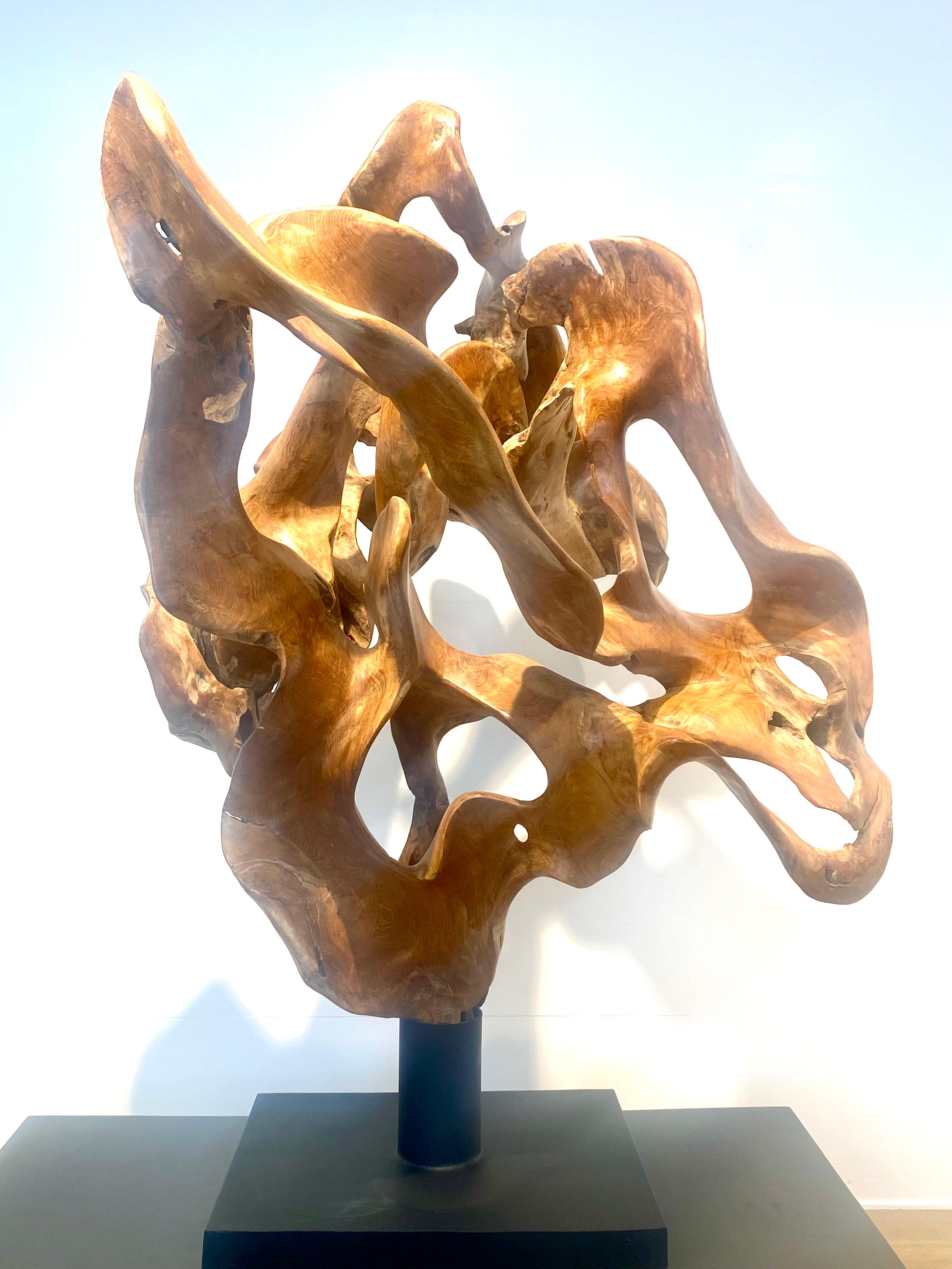 Abstrakte Skulptur einer Teakwurzel (21. Jahrhundert und zeitgenössisch) im Angebot