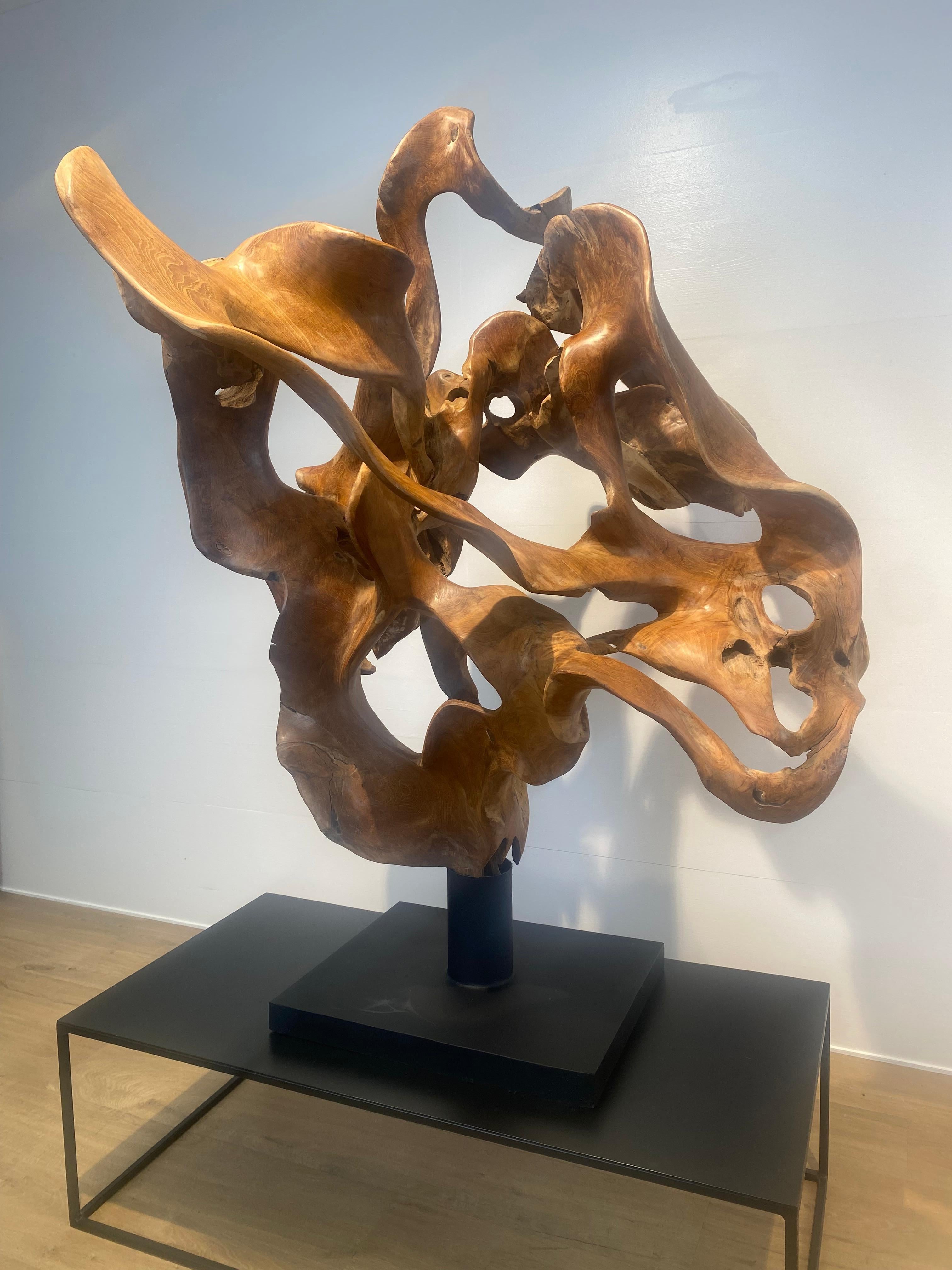 Abstrakte Skulptur einer Teakwurzel (Teakholz) im Angebot