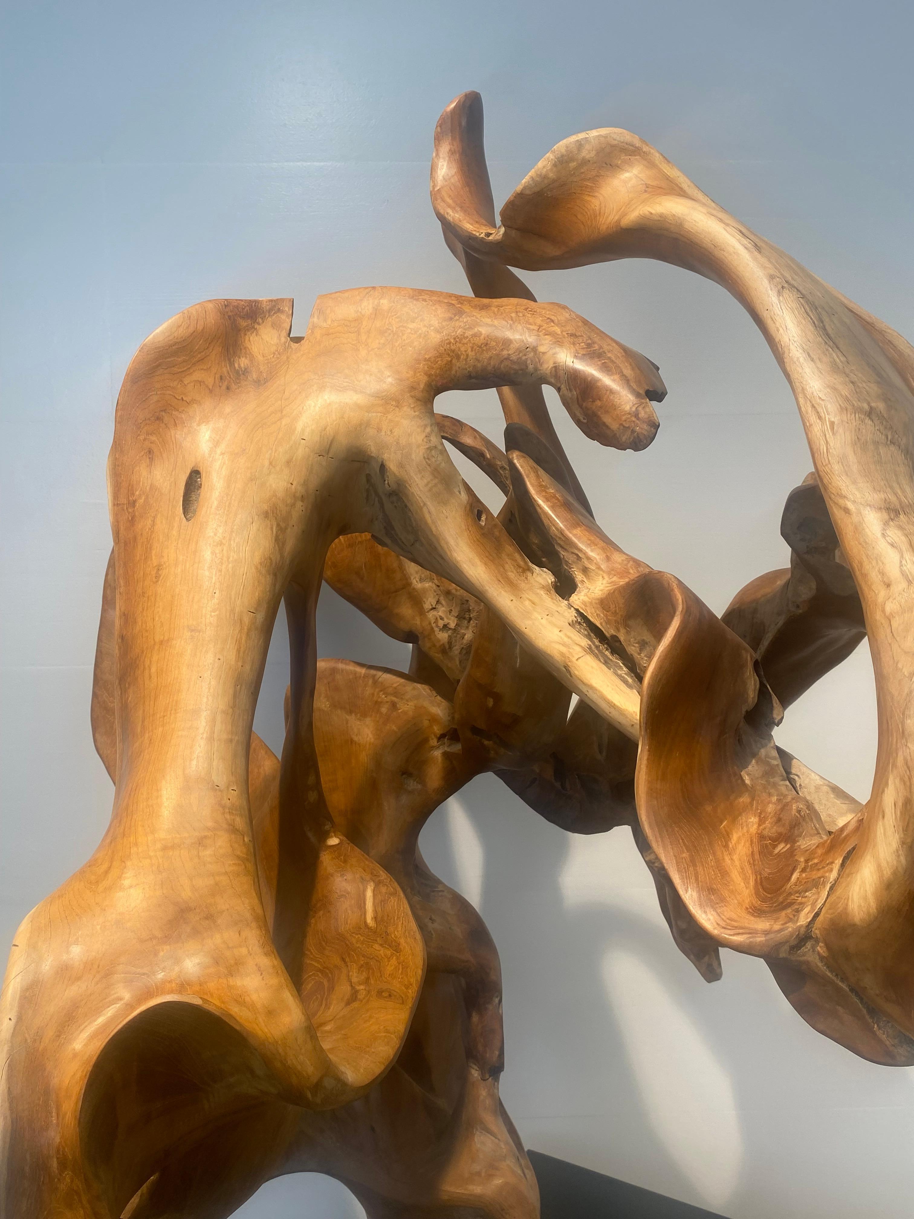 Abstrakte Skulptur einer Teakwurzel im Angebot 2
