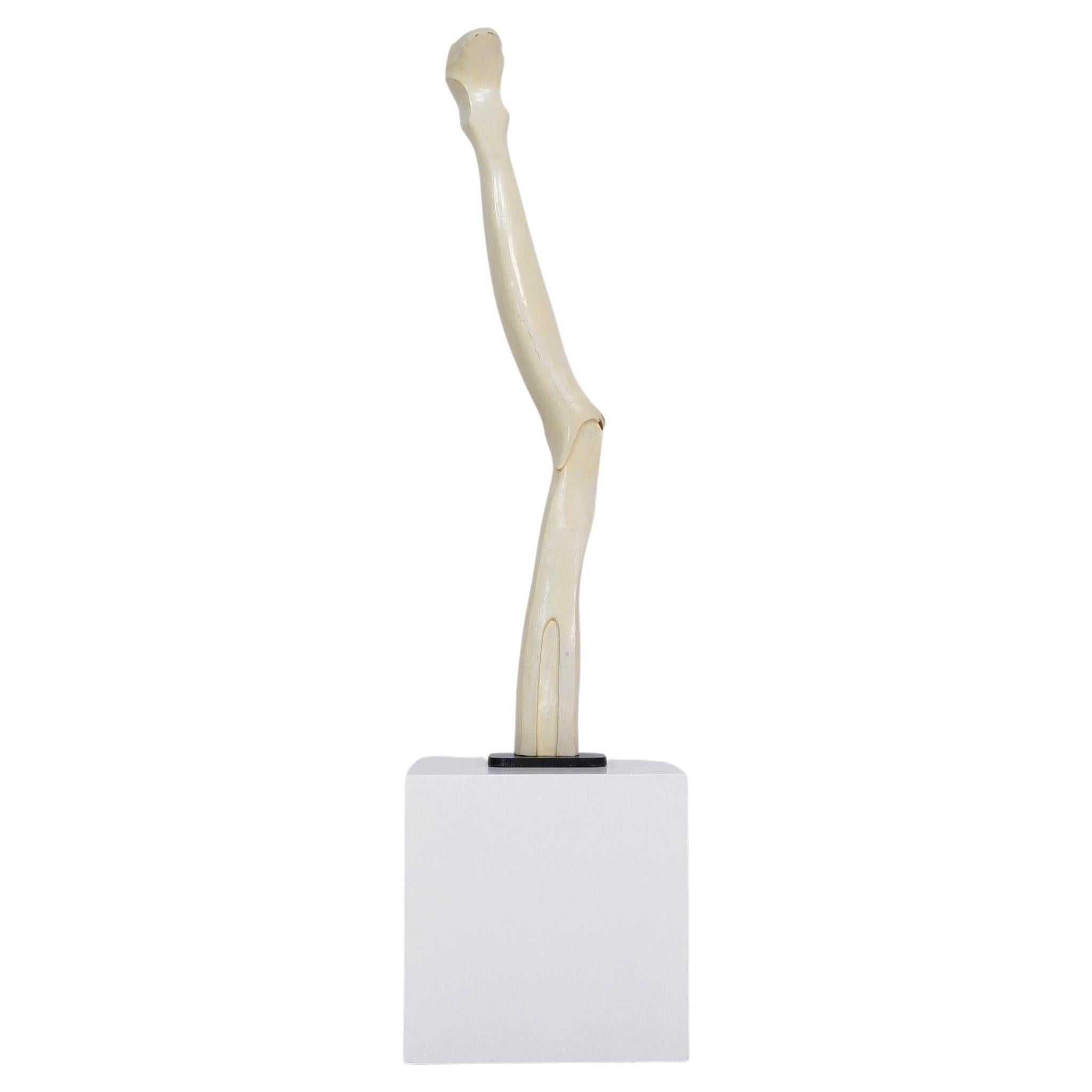 Scultura astratta, Wood Wood dipinto e acciaio, Scuola americana, 1960 ca.