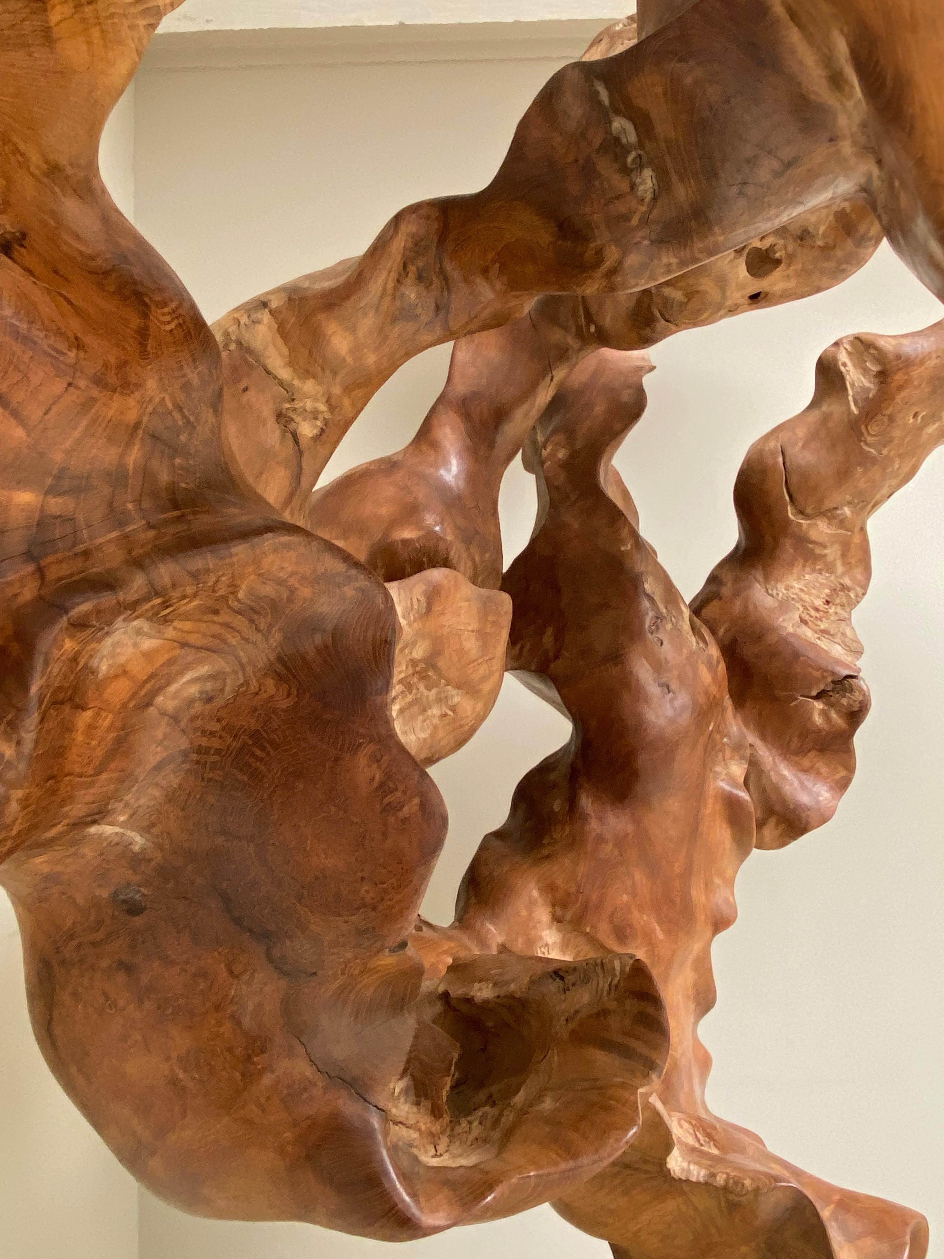 Big Scale Abstract Sculpture, Tree Root in Teak Wood.  2
