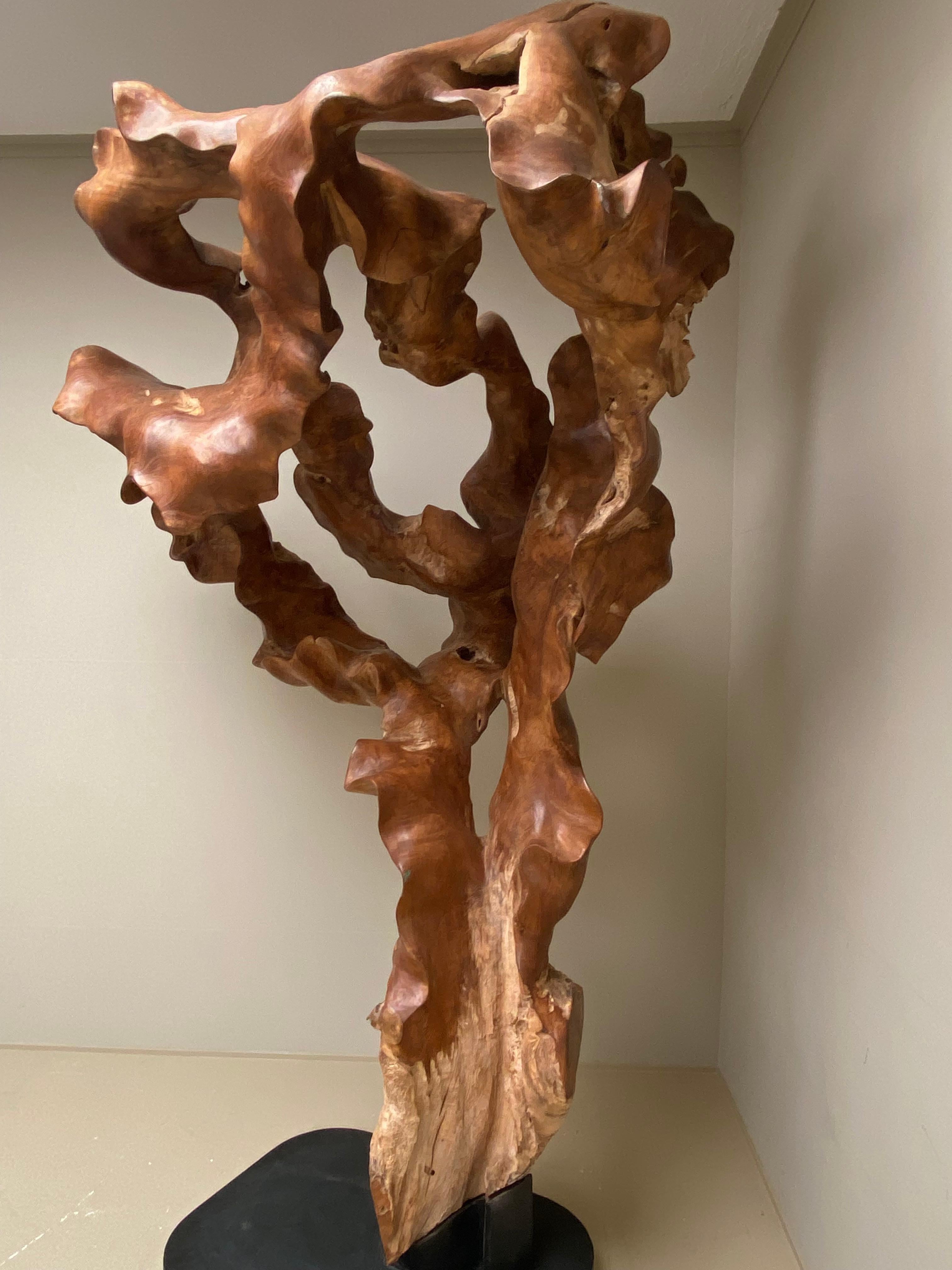 Big Scale Abstract Sculpture, Tree Root in Teak Wood.  3