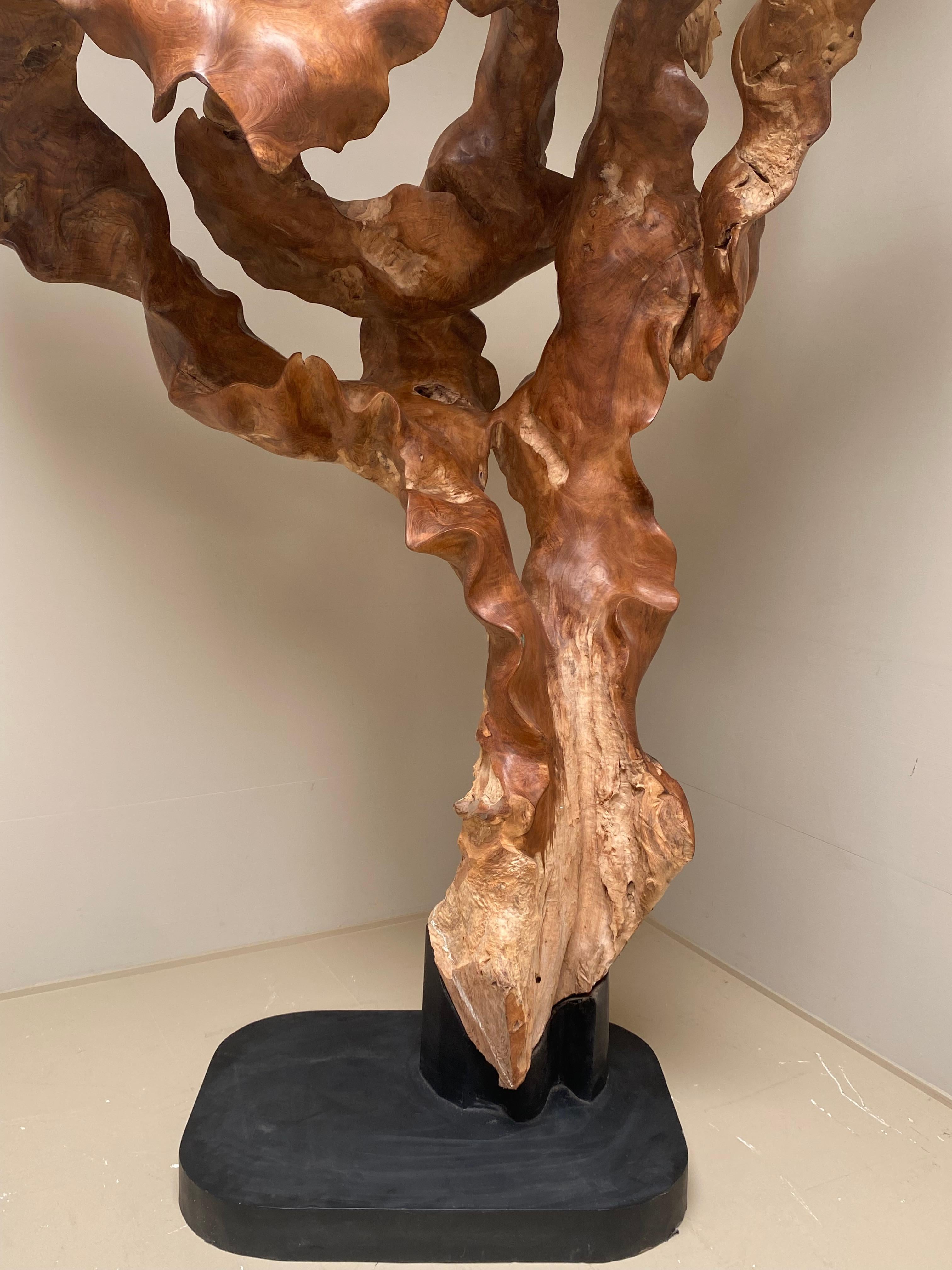 Big Scale Abstract Sculpture, Tree Root in Teak Wood.  4