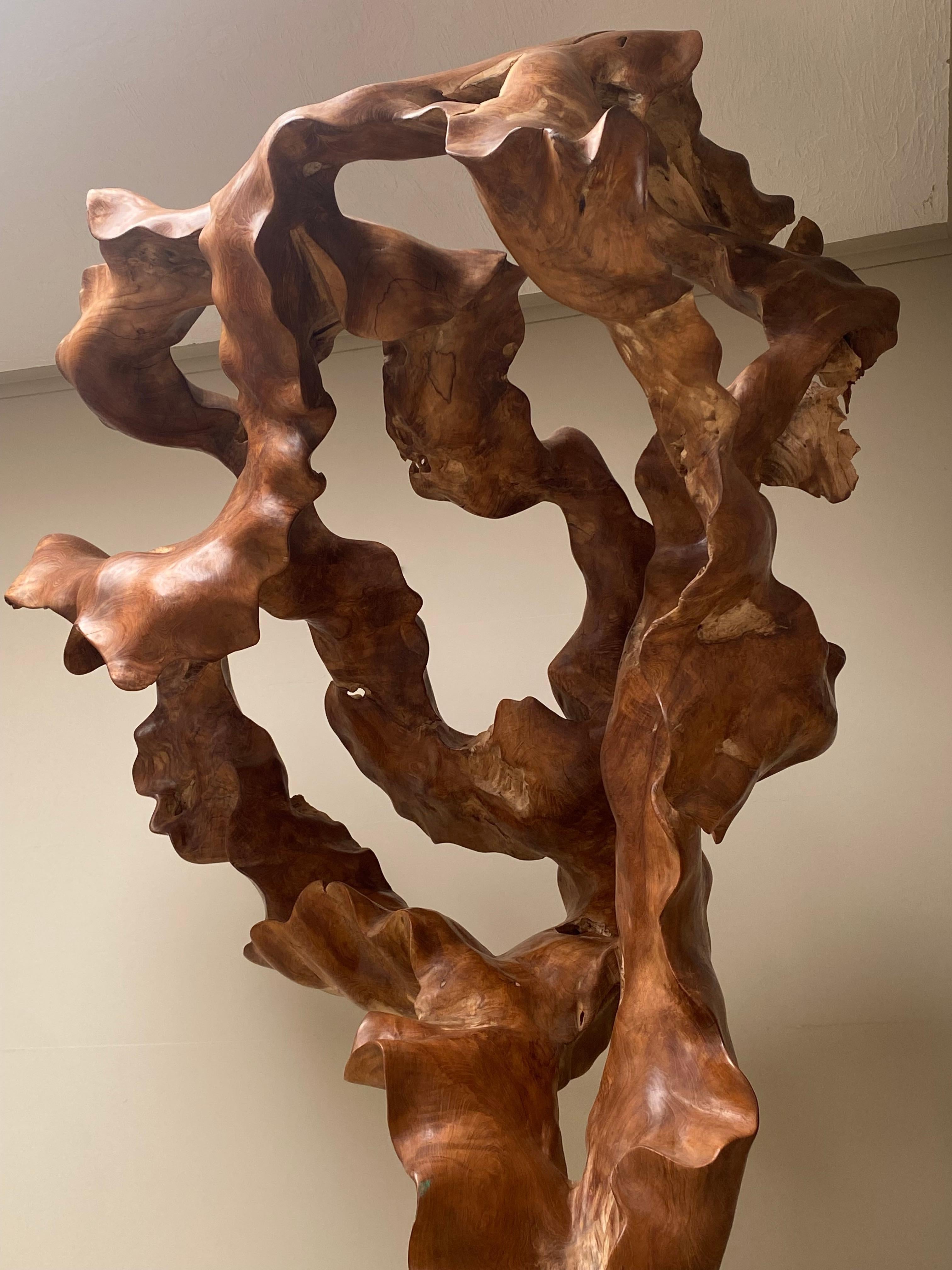 Big Scale Abstract Sculpture, Tree Root in Teak Wood.  5