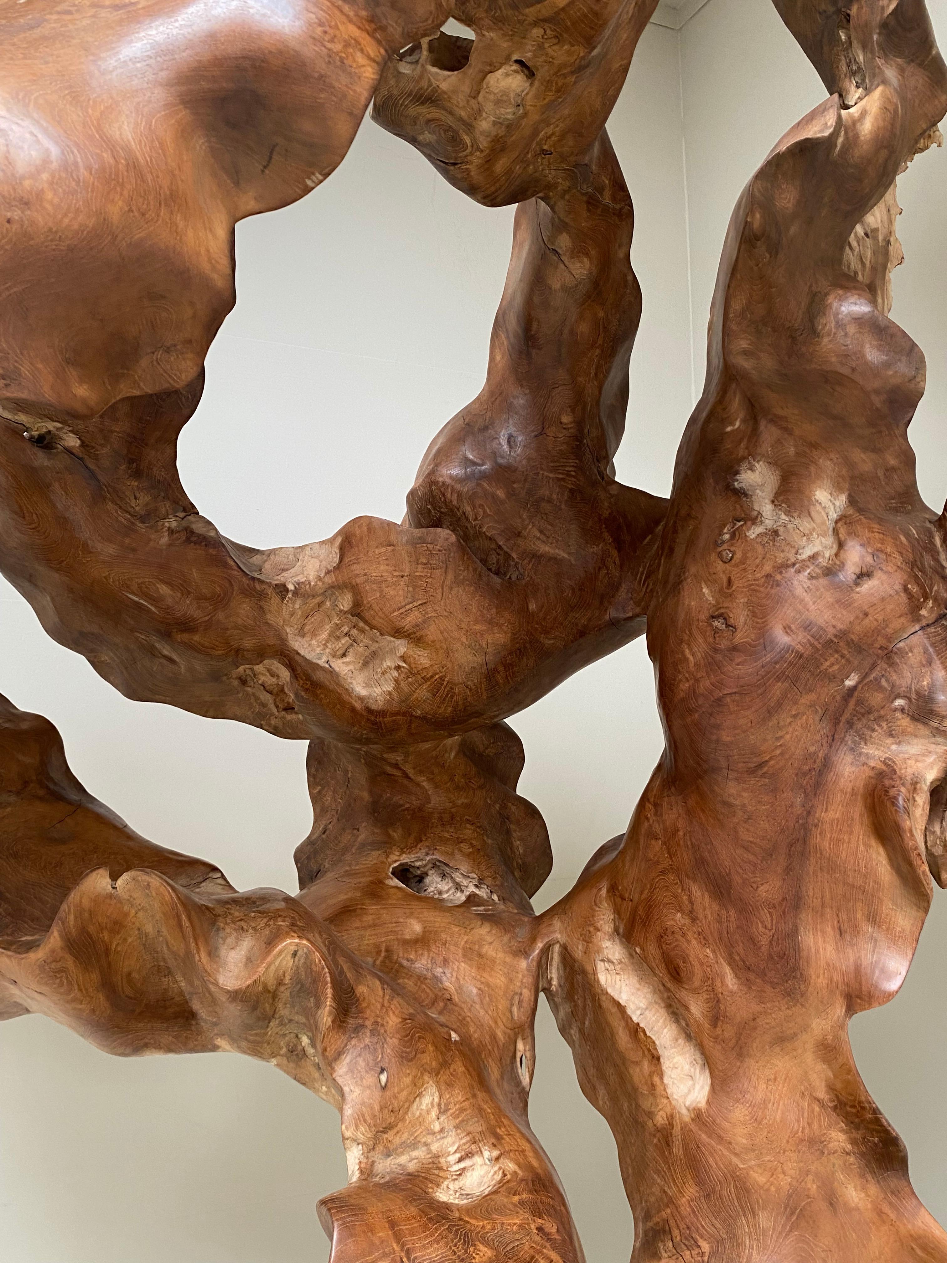 Big Scale Abstract Sculpture, Tree Root in Teak Wood.  6