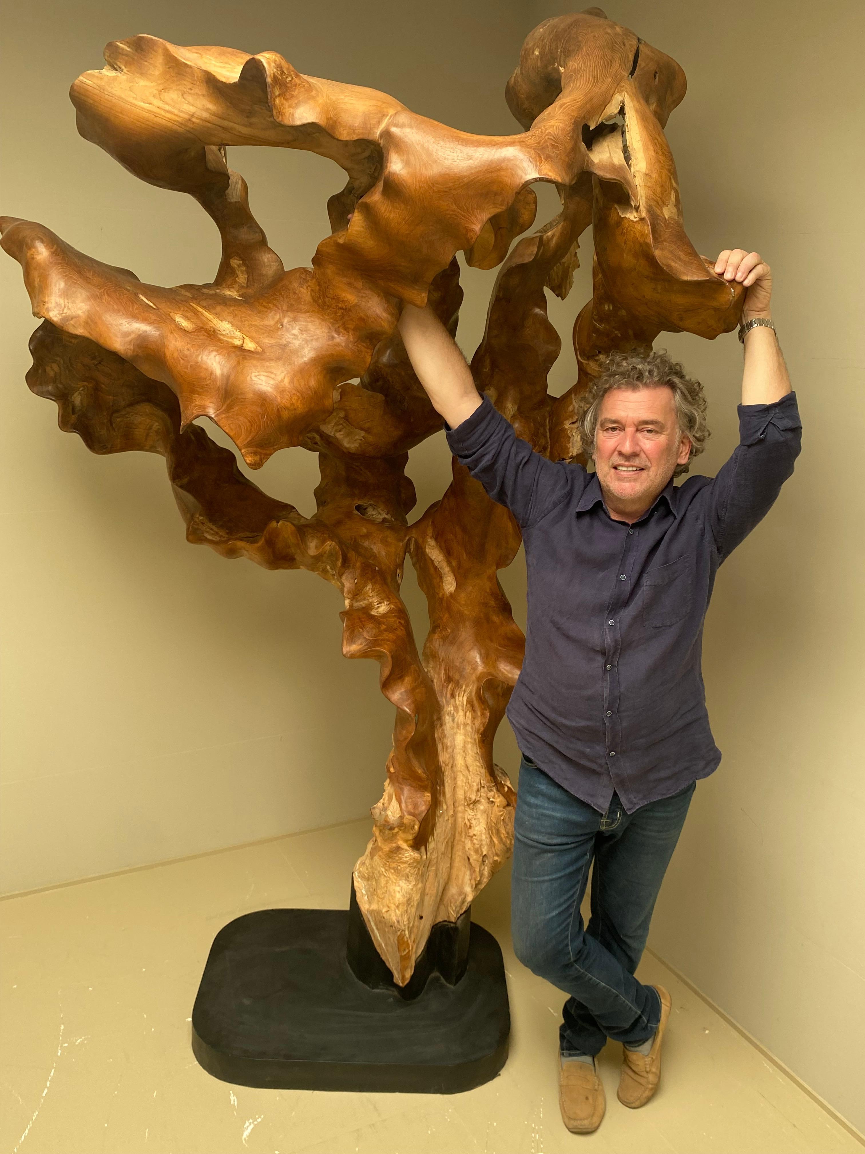 Big Scale Abstract Sculpture, Tree Root in Teak Wood.  8
