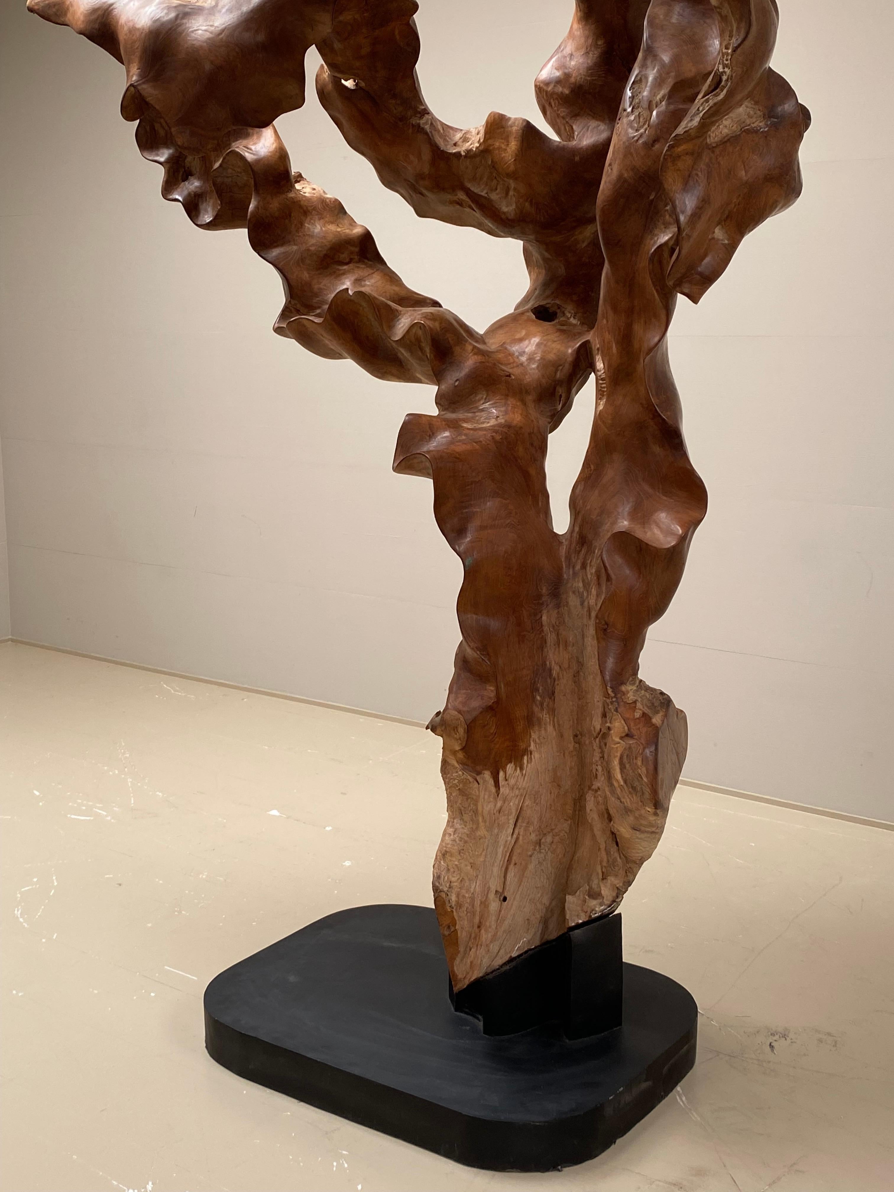 Impressive Abstract sculpture, a root of an old teak tree made of one piece wood,
collected in Indonesia, Bali,
mounted on a metal base,
can be placed as a central piece, looks amazing from every angle,
great natural sculpture.